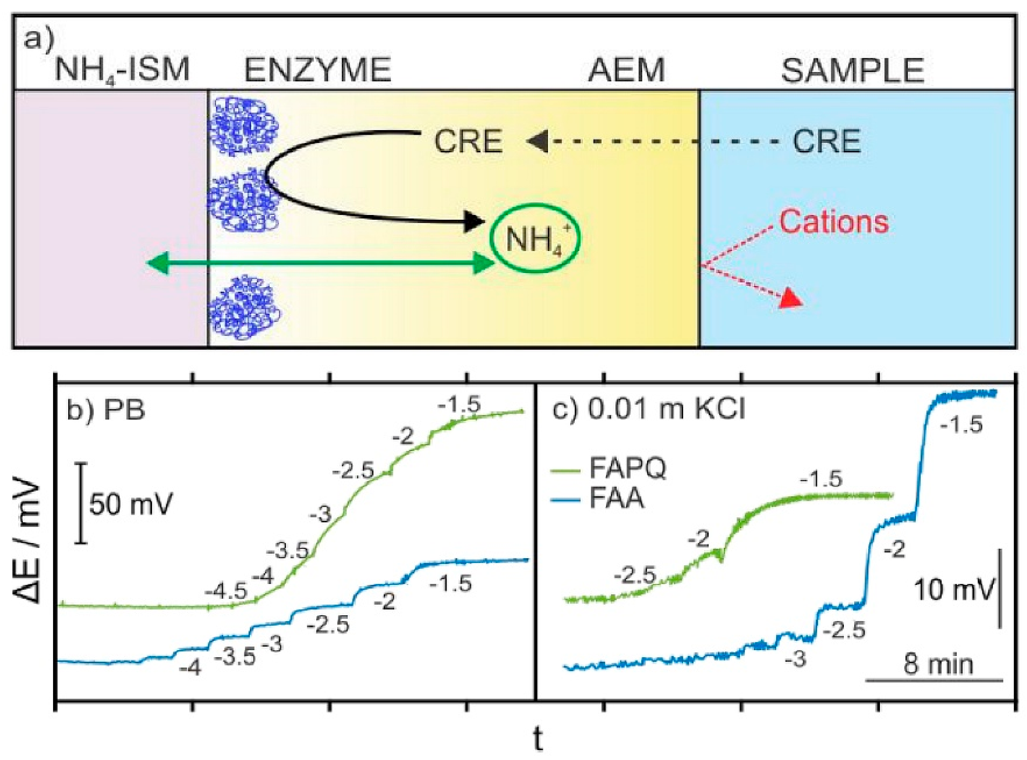 Diagnostics 13 01737 g006 Diagnostics 13 01737 g006