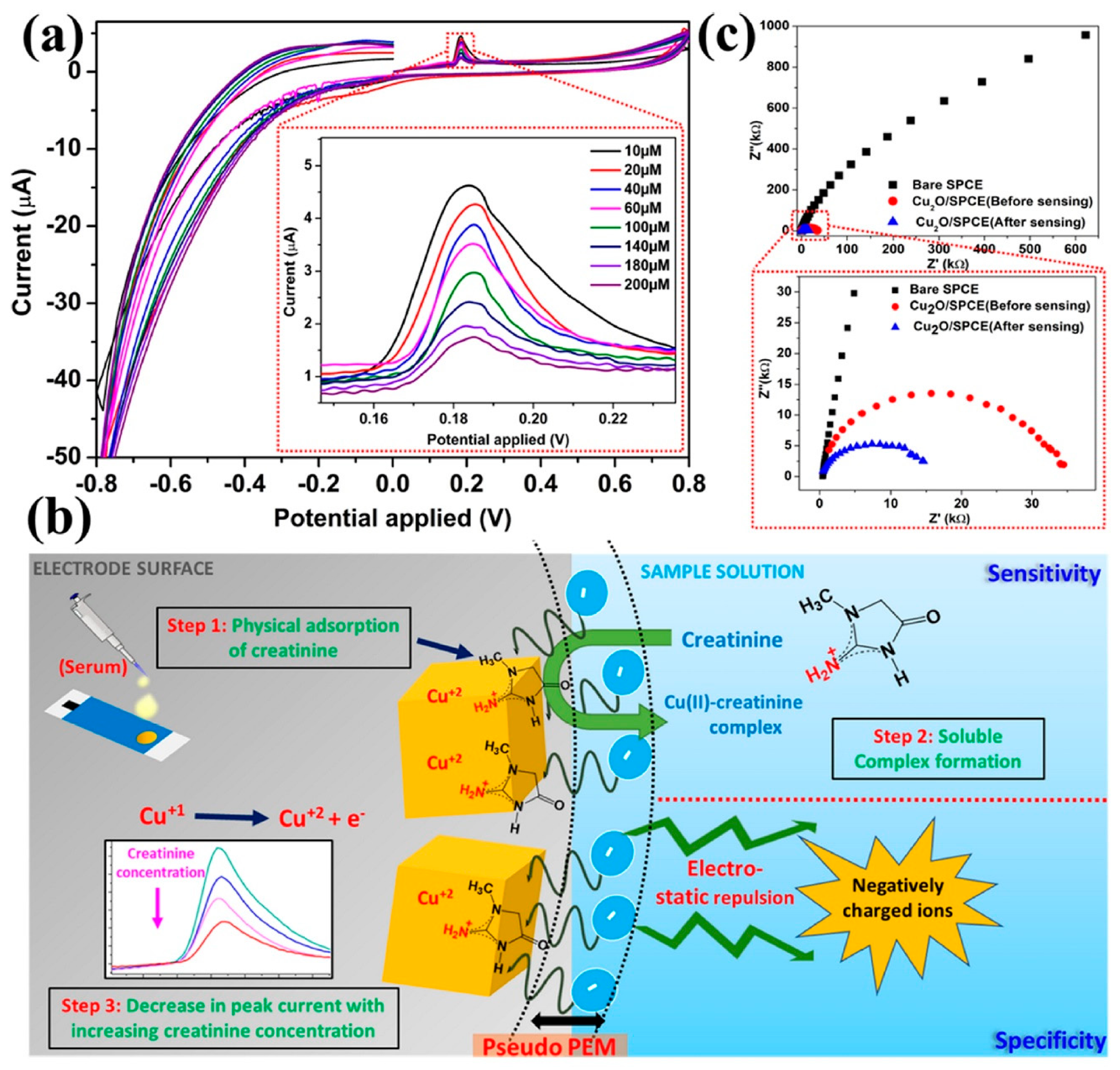 Diagnostics 13 01737 g007 Diagnostics 13 01737 g007