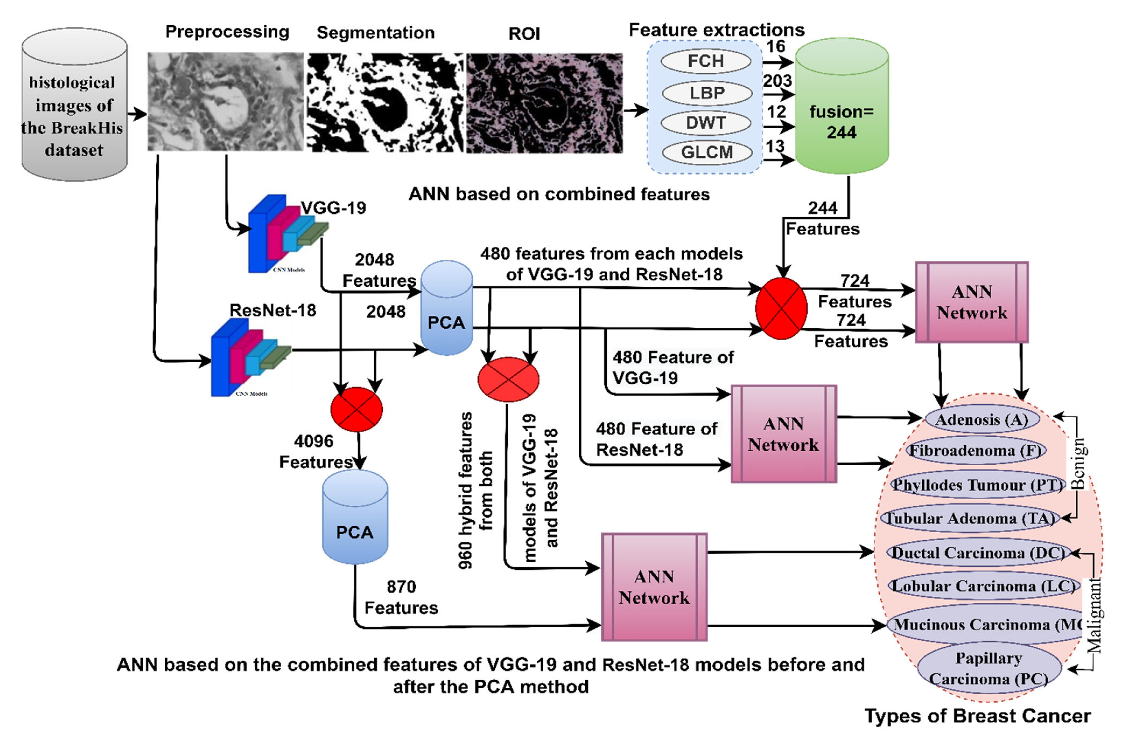 Diagnostics 13 01753 g001 550