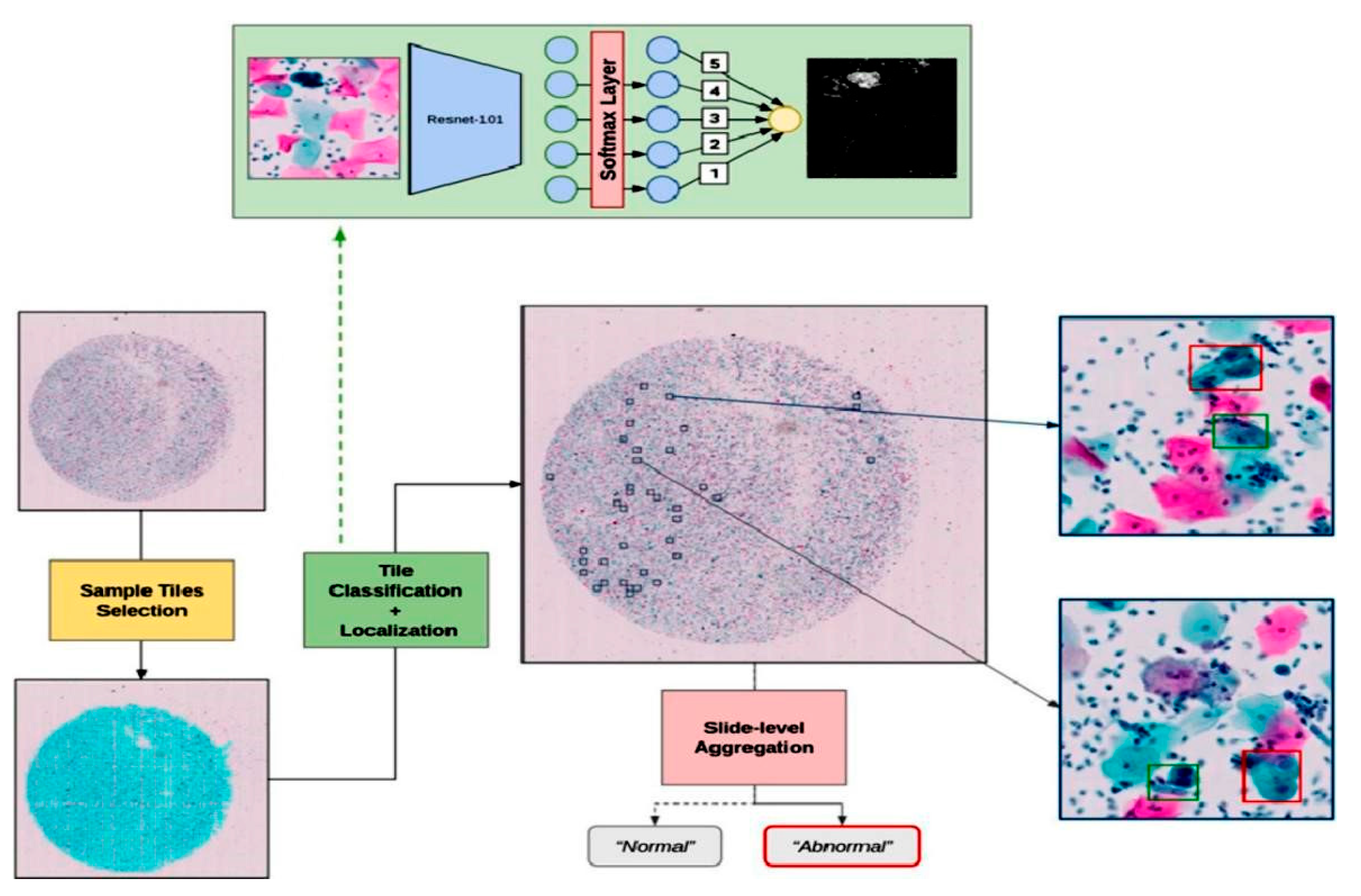 Diagnostics 13 01763 g004