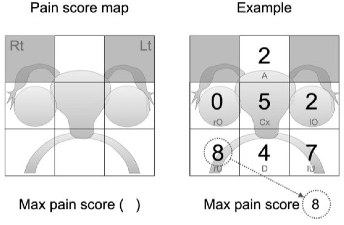 Diagnostics 13 01774 g001