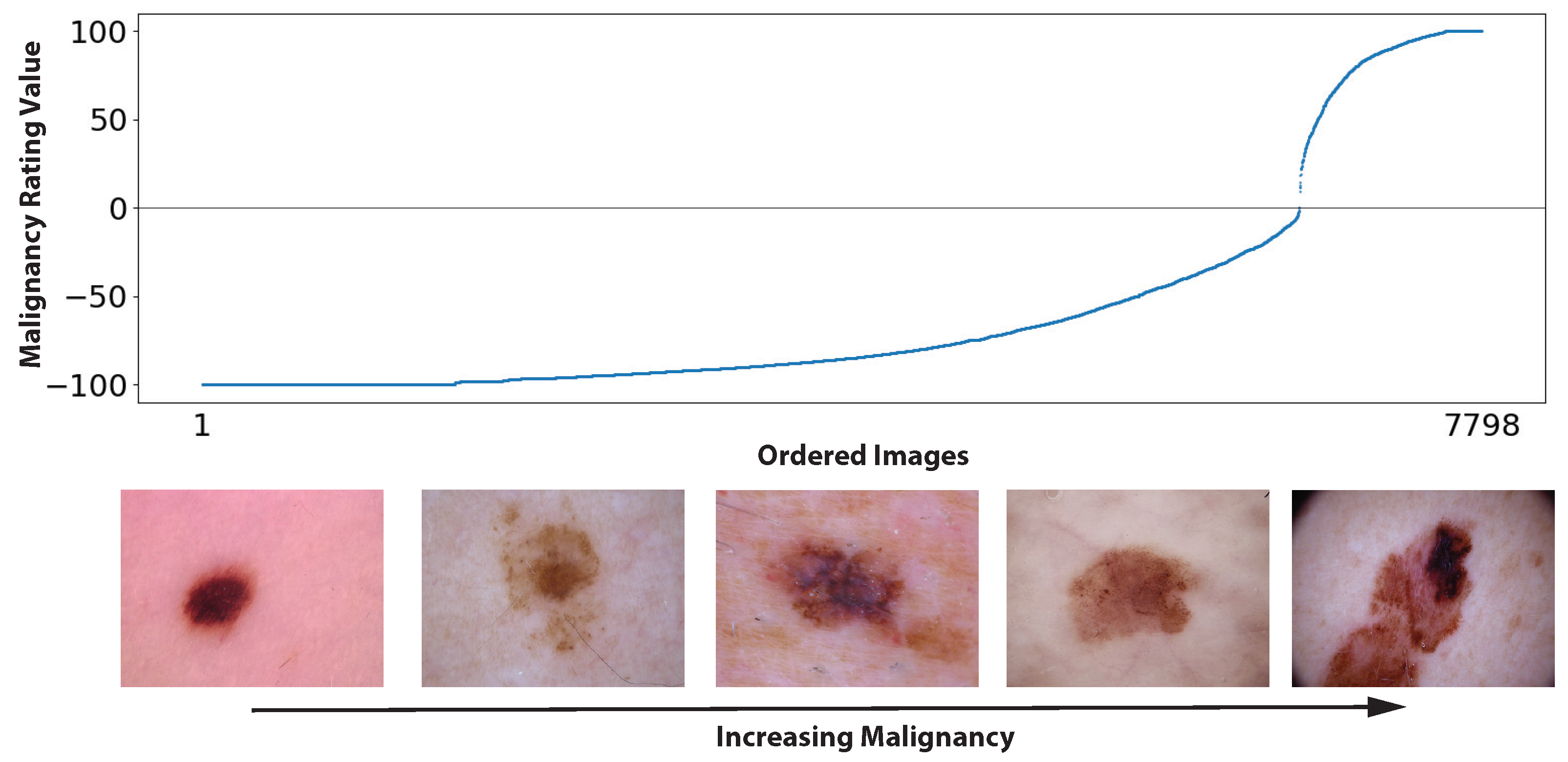 Diagnostics 13 01775 g002