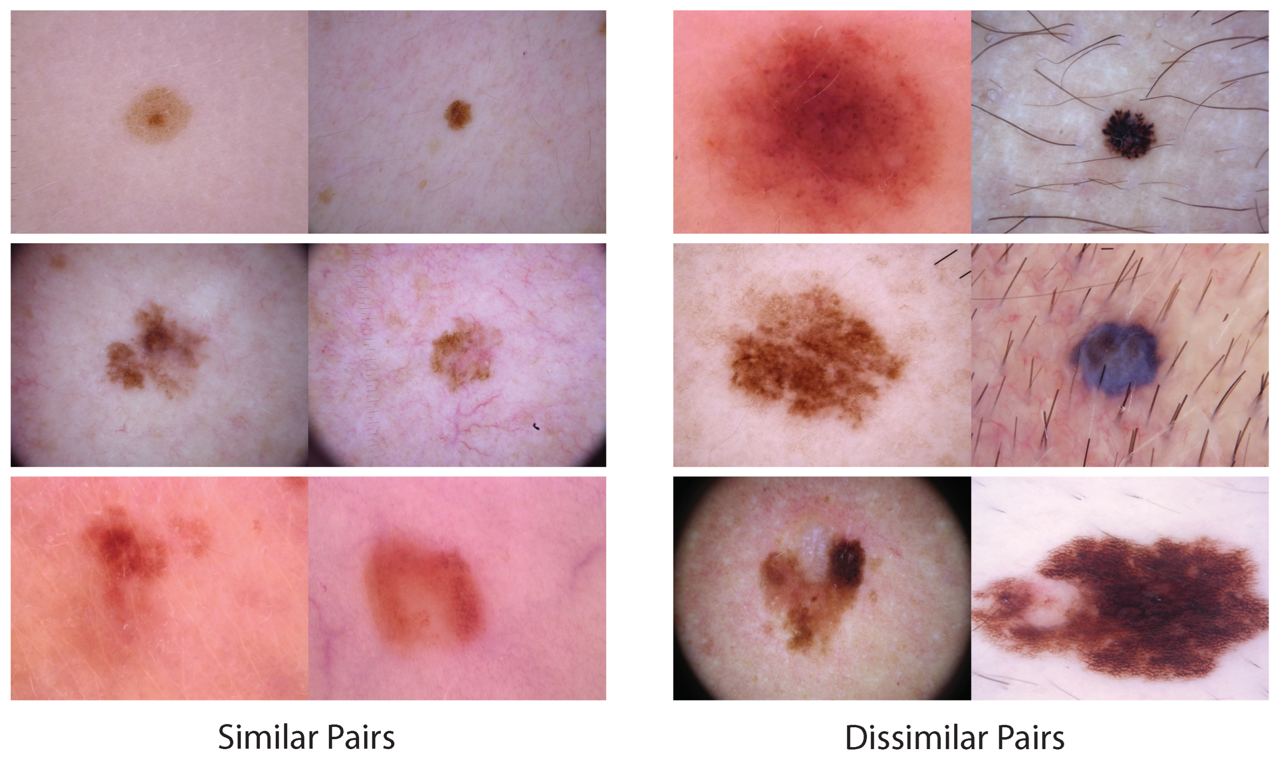 Diagnostics 13 01775 g003