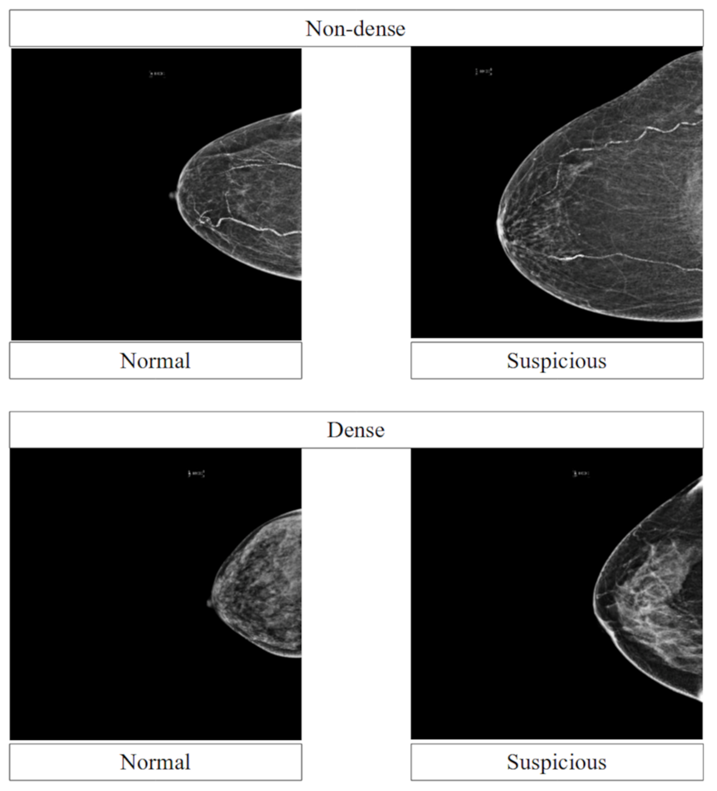 Diagnostics 13 01780 g001 Diagnostics 13 01780 g001