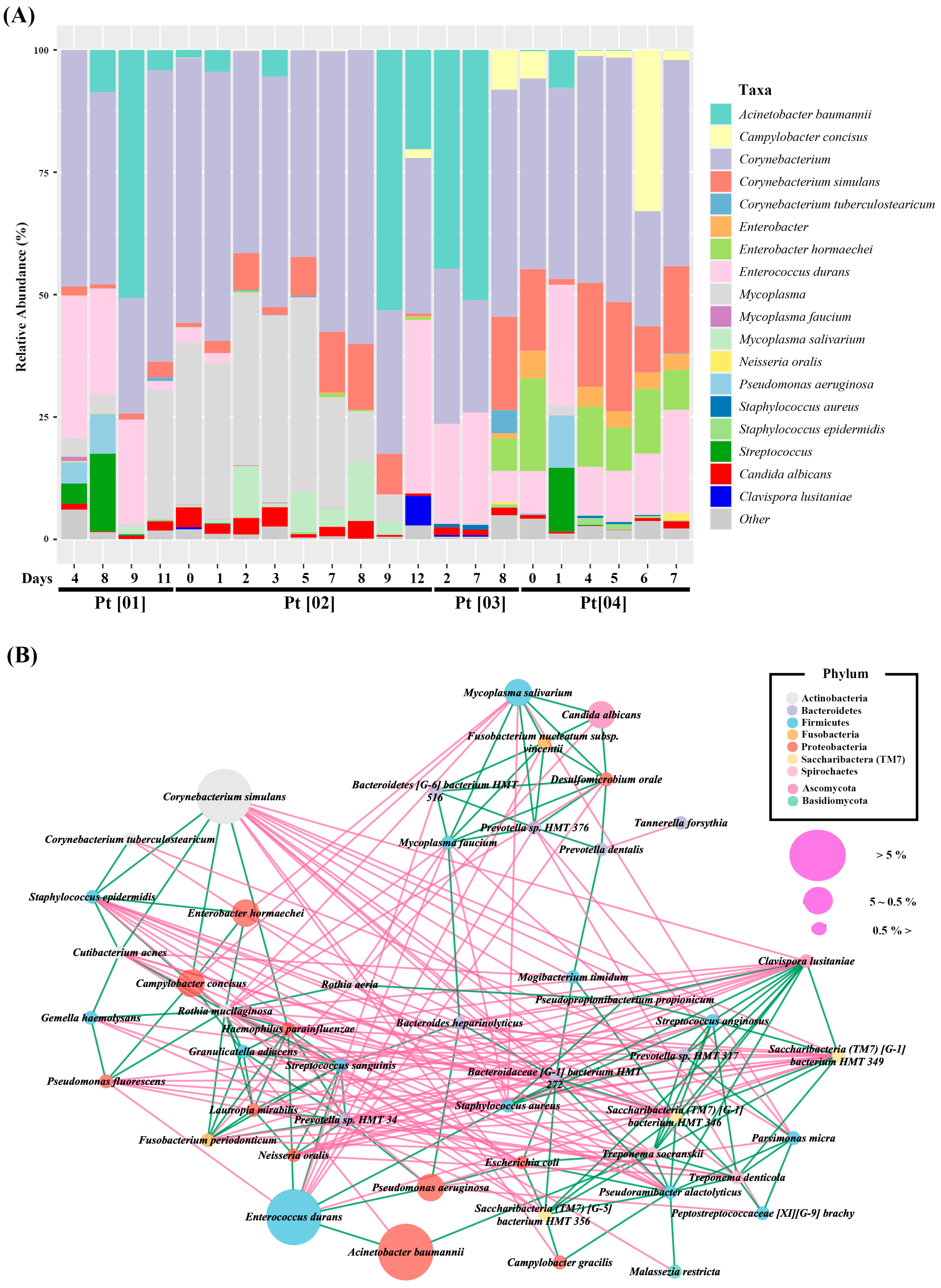 Diagnostics 13 01784 g005 Diagnostics 13 01784 g005