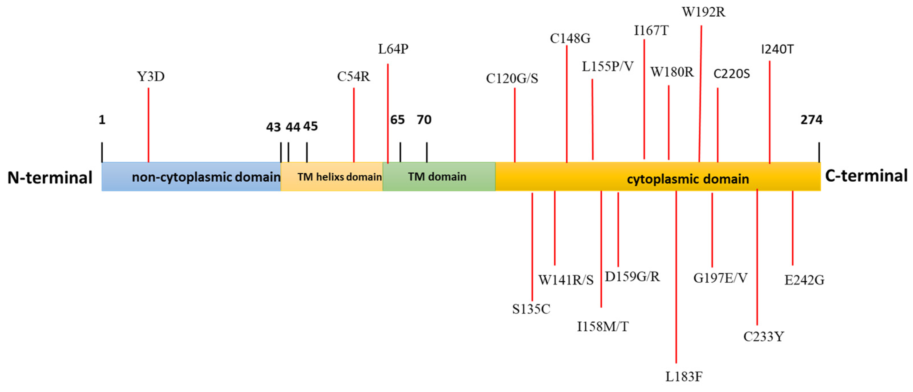 Diagnostics 13 01785 g002