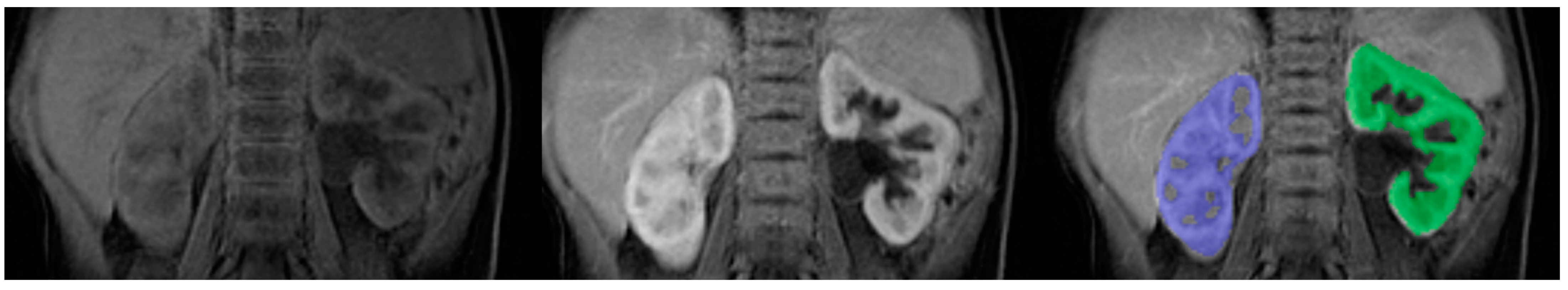 Diagnostics 13 01786 g004