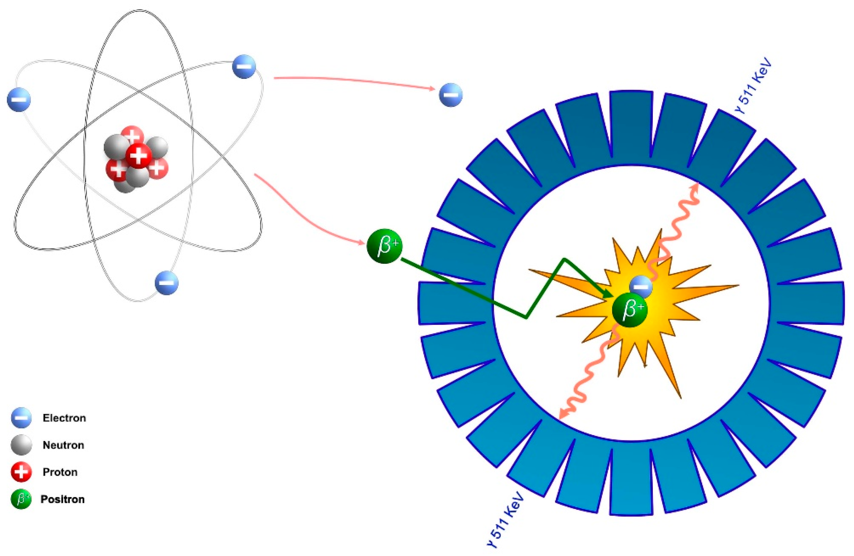 Diagnostics | Free Full-Text | The Role of Positron Emission Tomography in  Advancing the Understanding of the Pathogenesis of Heart and Vascular  Diseases