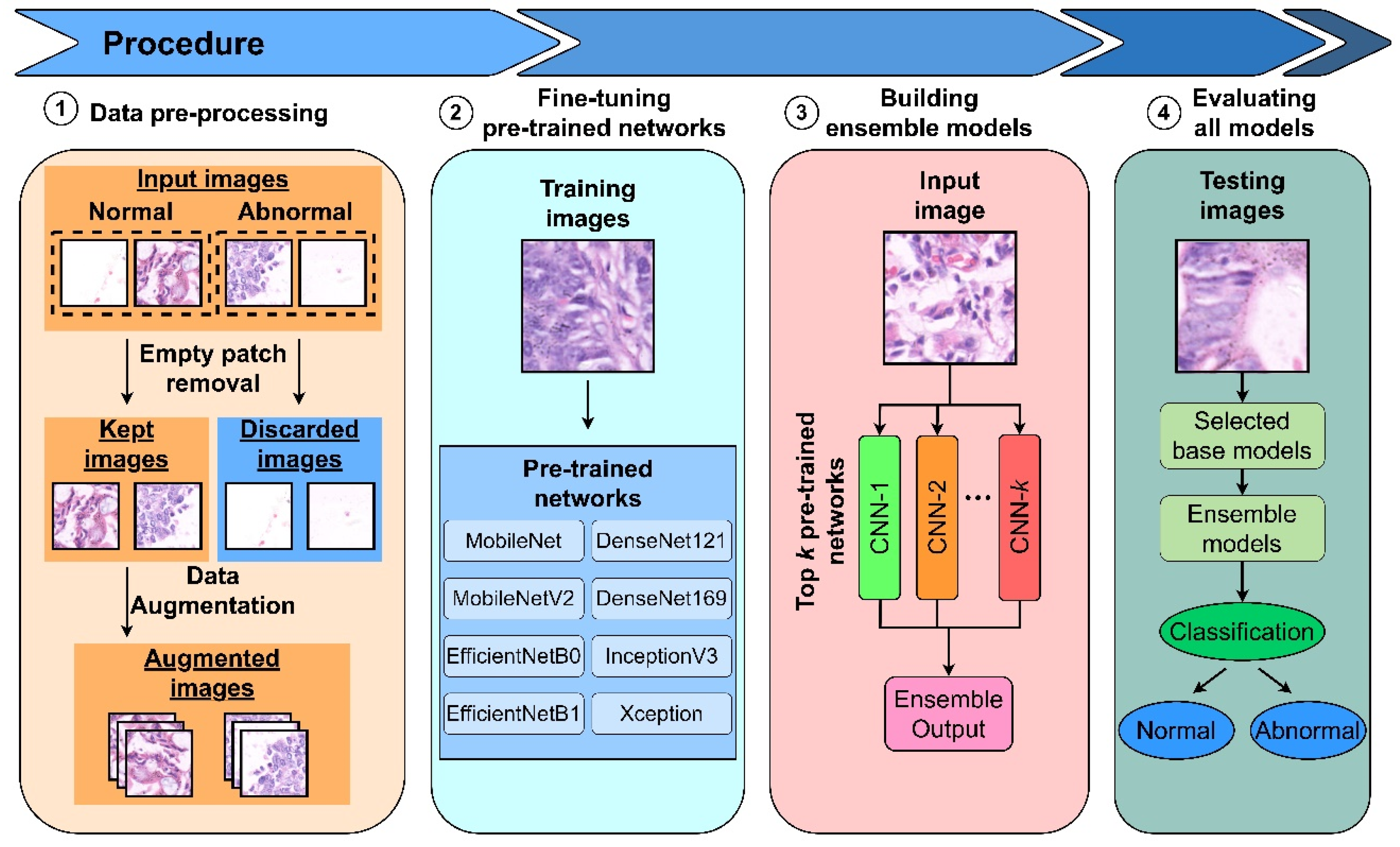 Diagnostic Imaging Dataset Submission at Brandon Renteria blog