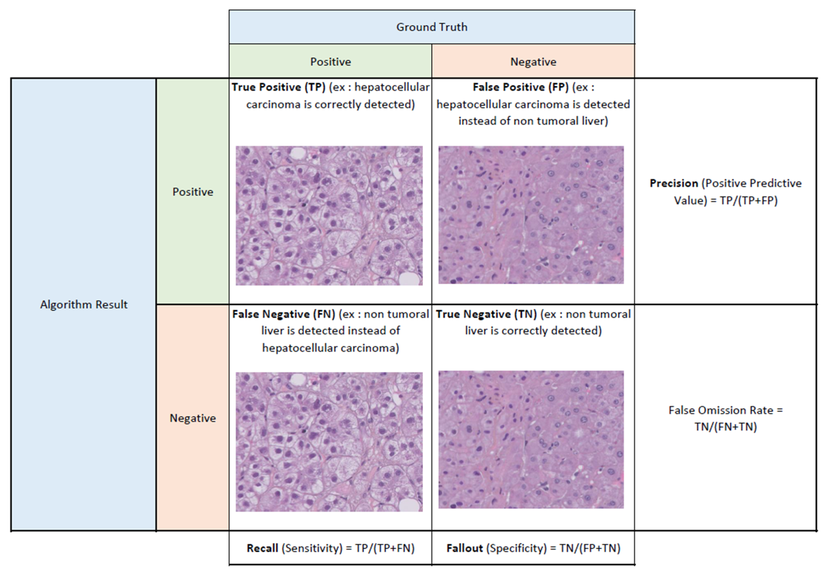 Diagnostics 13 01799 g001 Diagnostics 13 01799 g001