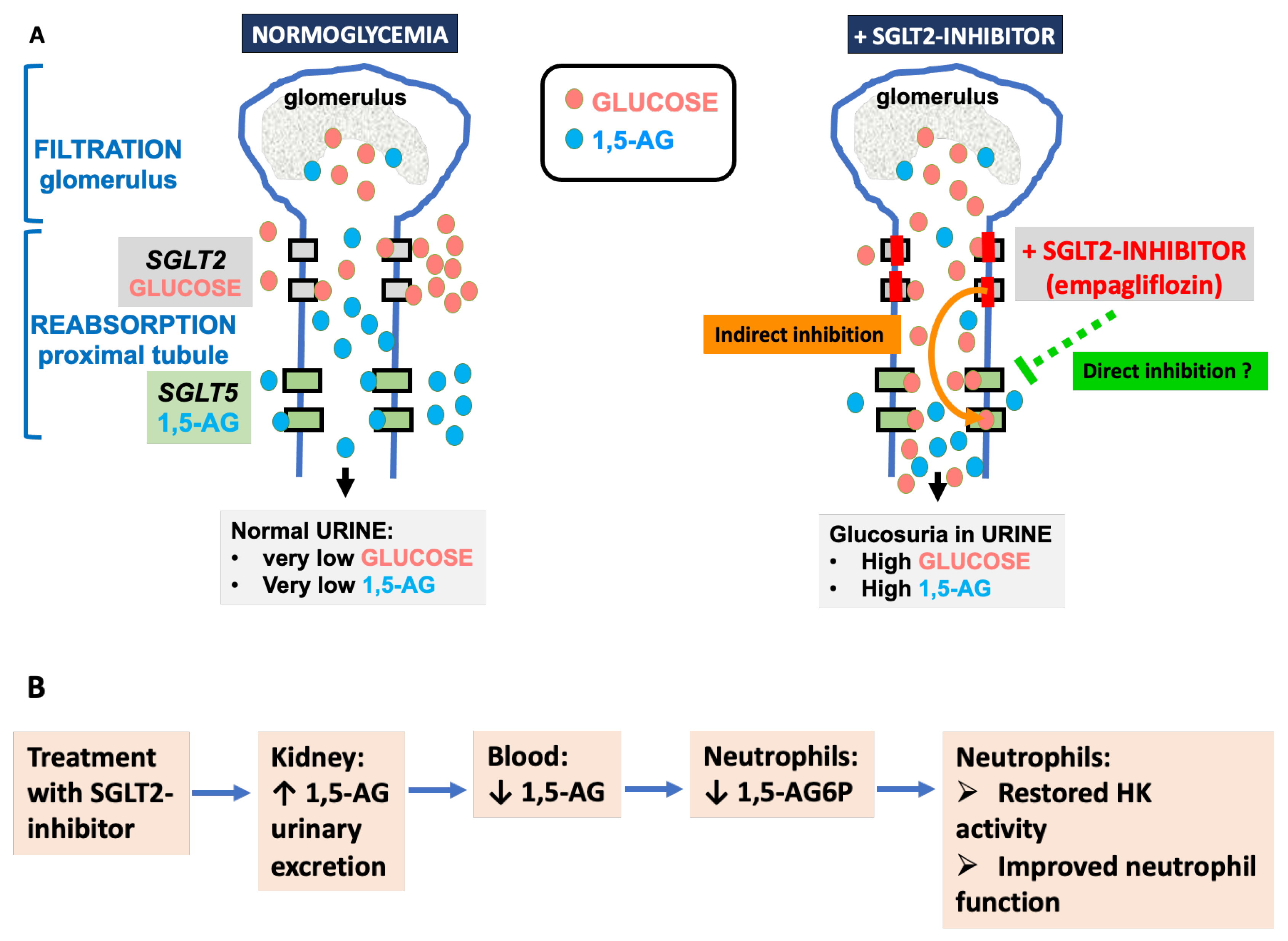 Diagnostics 13 01803 g003 Diagnostics 13 01803 g003