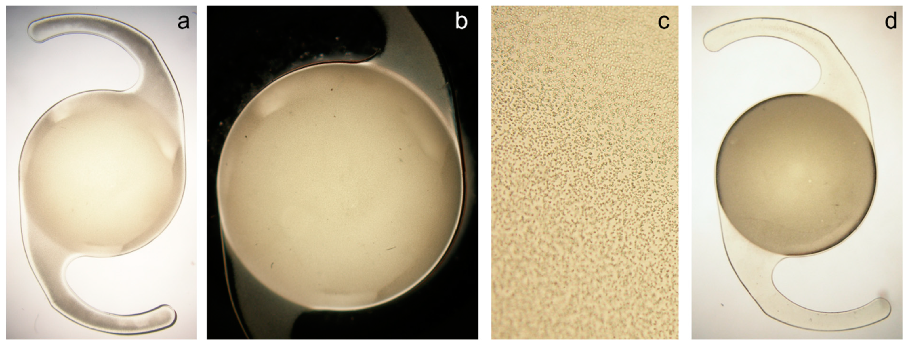 Diagnostics 13 01804 g001