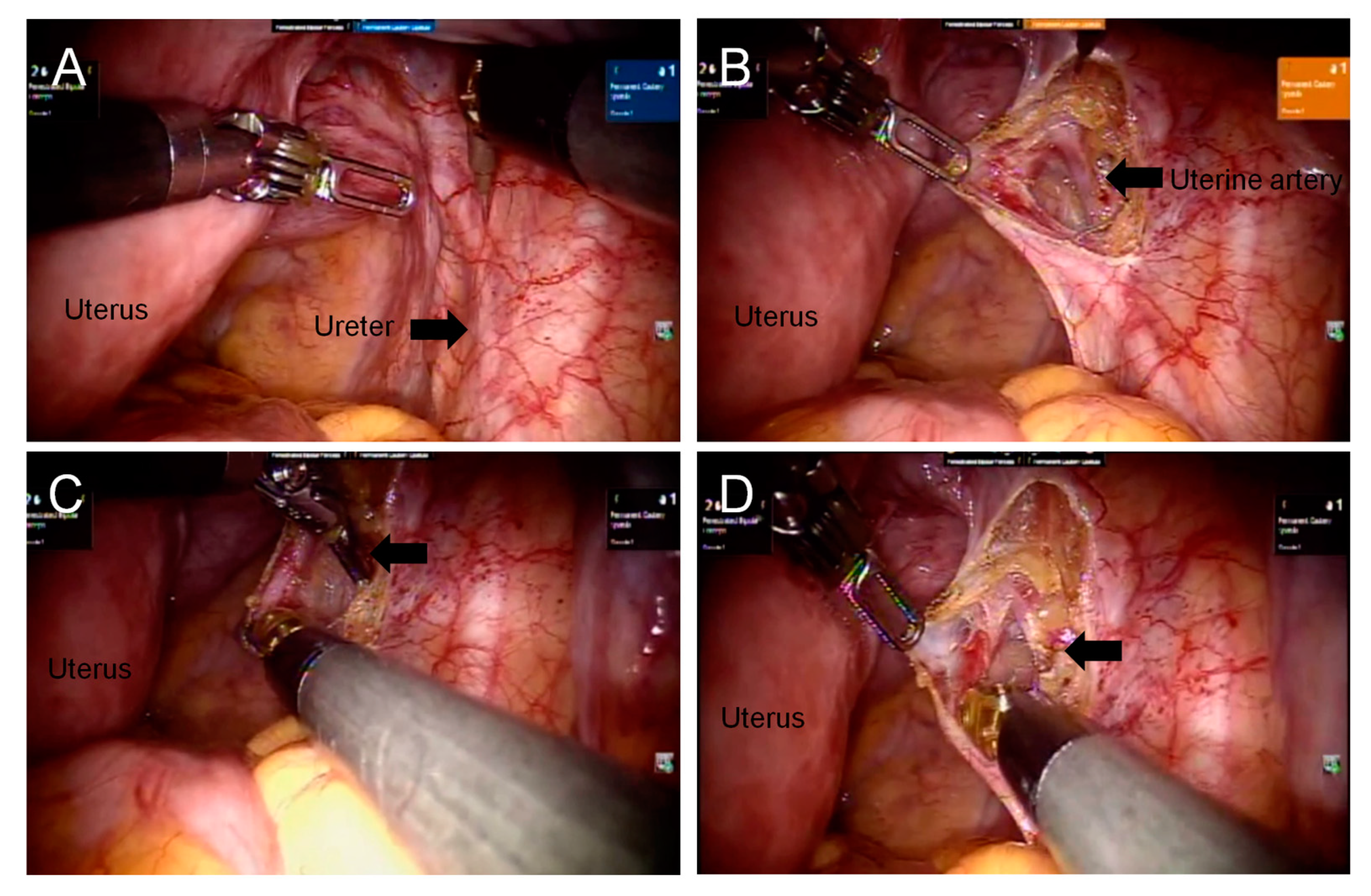 Diagnostics 13 01809 g001 Diagnostics 13 01809 g001