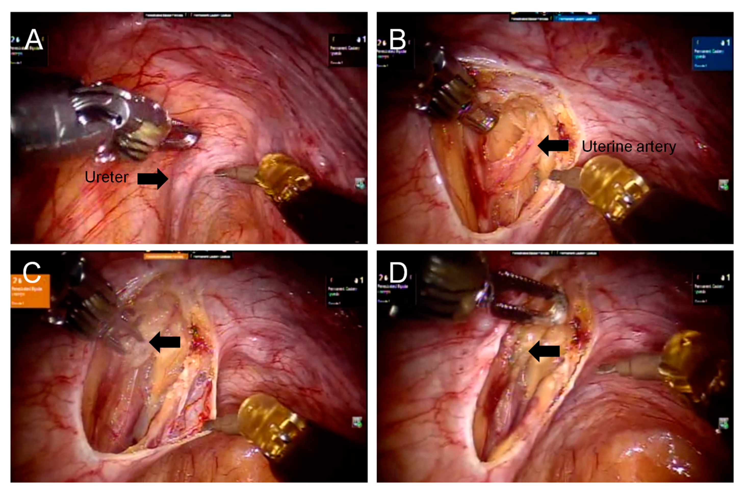 Diagnostics 13 01809 g002 Diagnostics 13 01809 g002