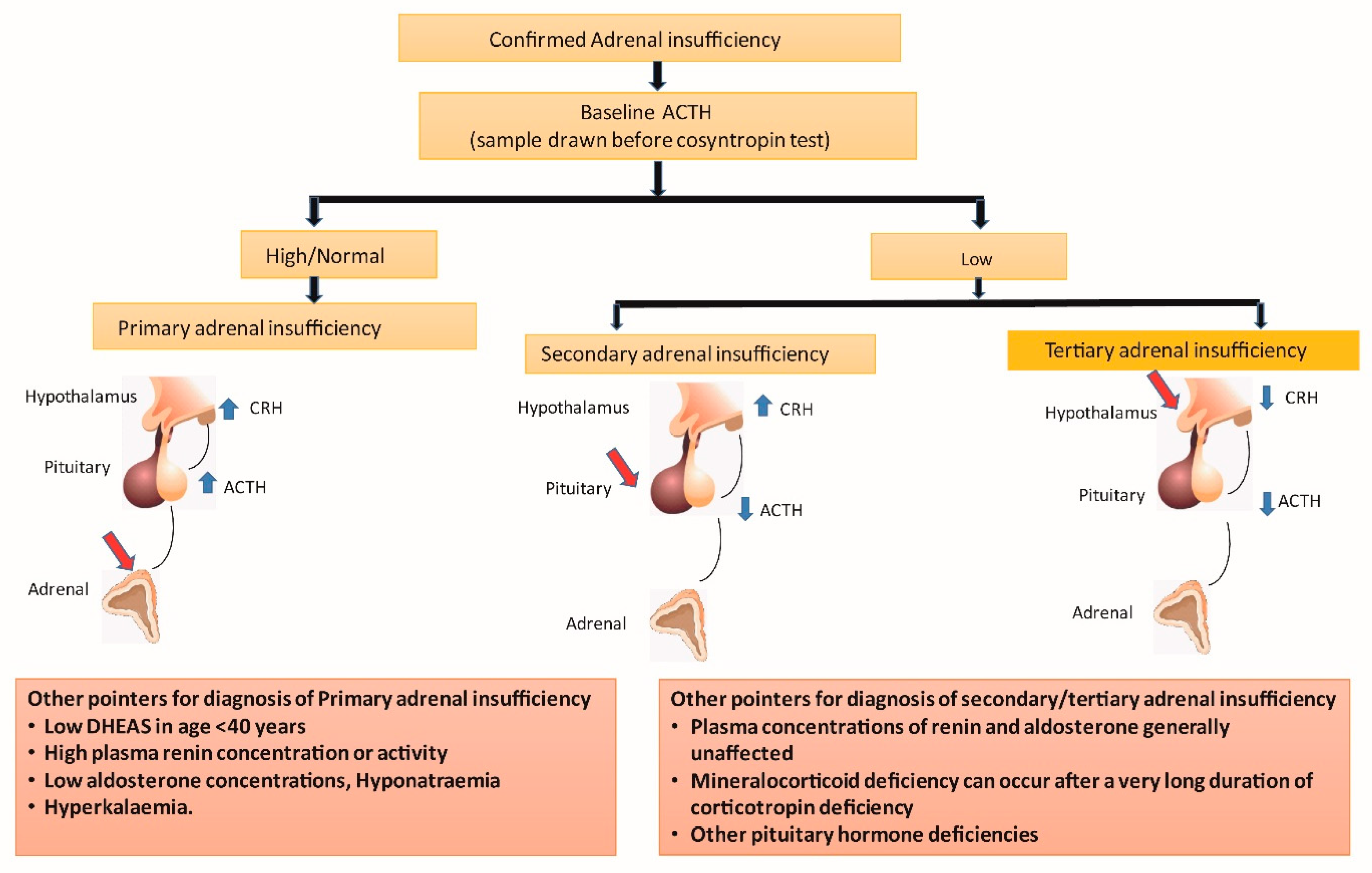 Adrenal Failure An Evidence Based Diagnostic Approach adrenal-failure-an-evidence-based-diagnostic-approach