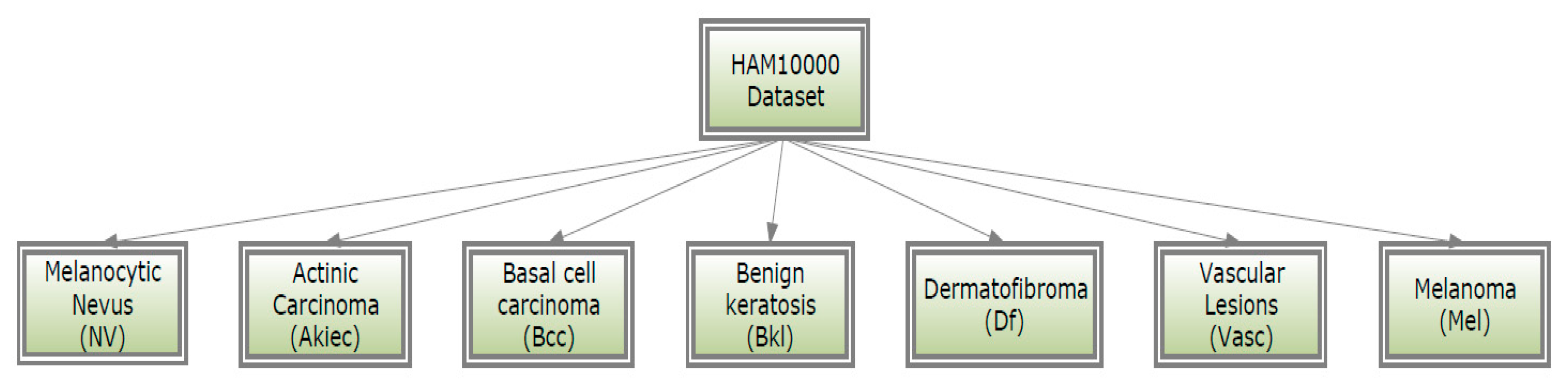 Diagnostics 13 01815 g003