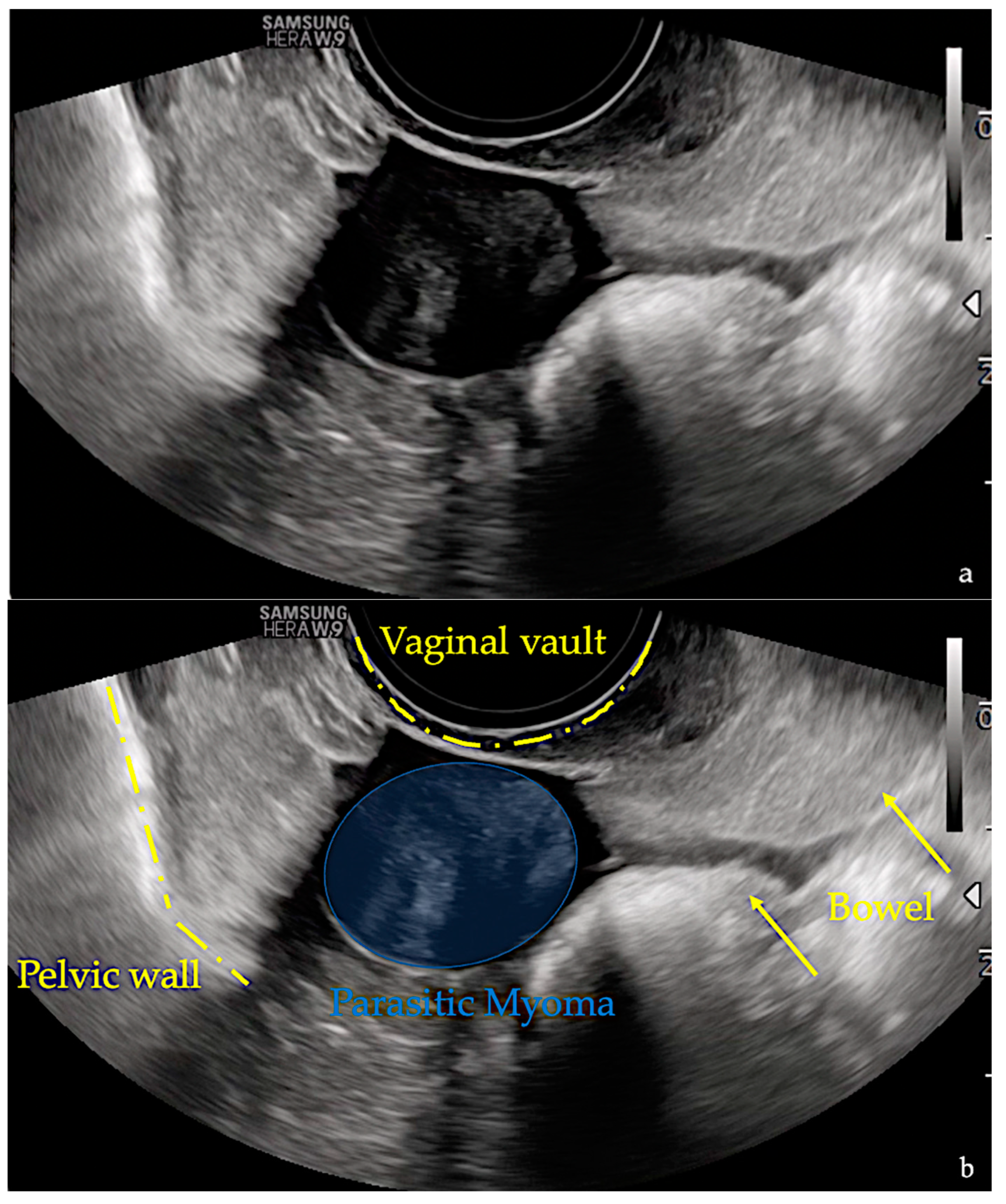 Diagnostics 13 01818 g001 Diagnostics 13 01818 g001