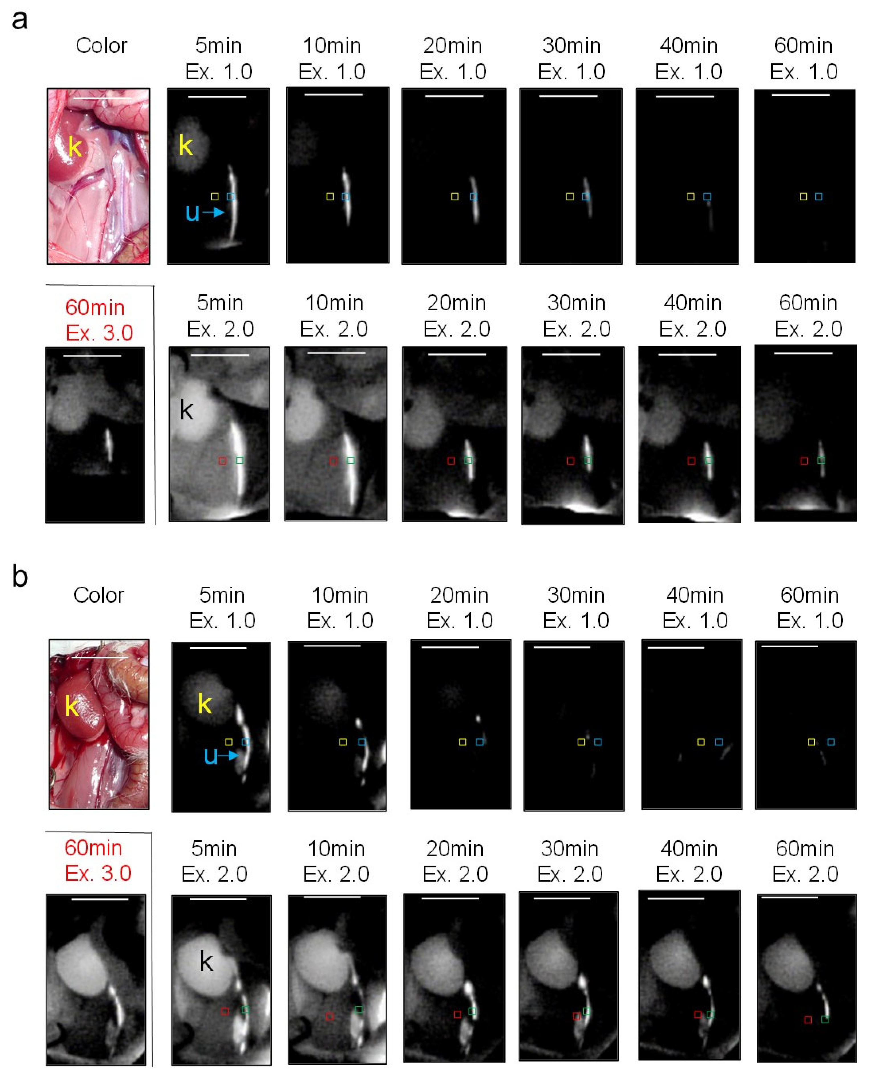Diagnostics 13 01823 g008a Diagnostics 13 01823 g008a