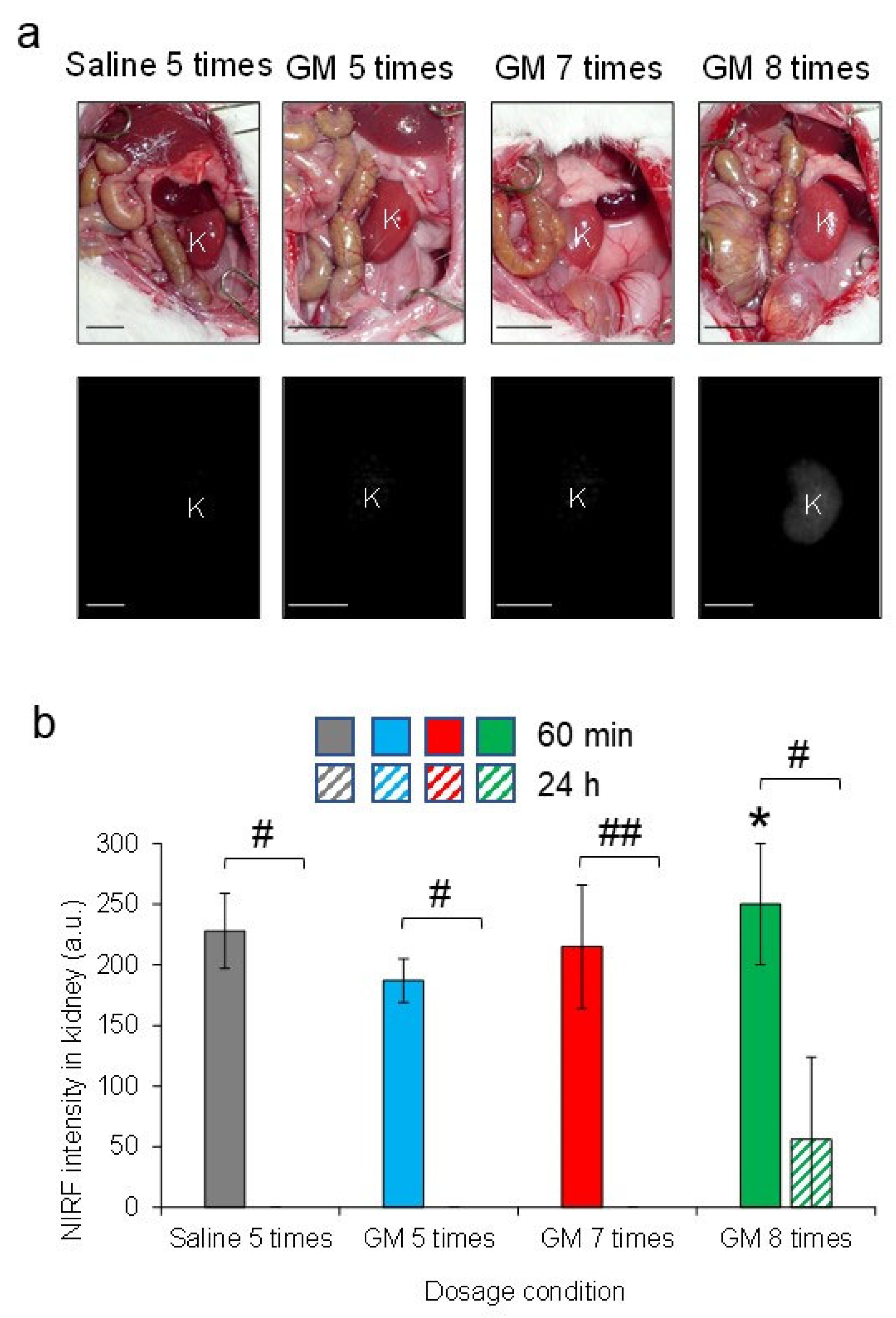 Diagnostics 13 01823 g010 Diagnostics 13 01823 g010