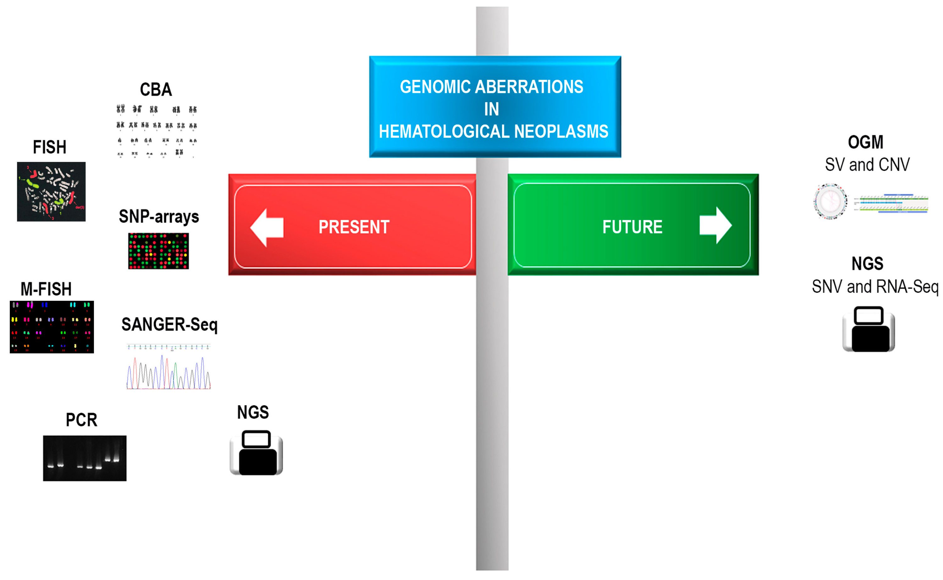 Diagnostics 13 01841 g002 Diagnostics 13 01841 g002