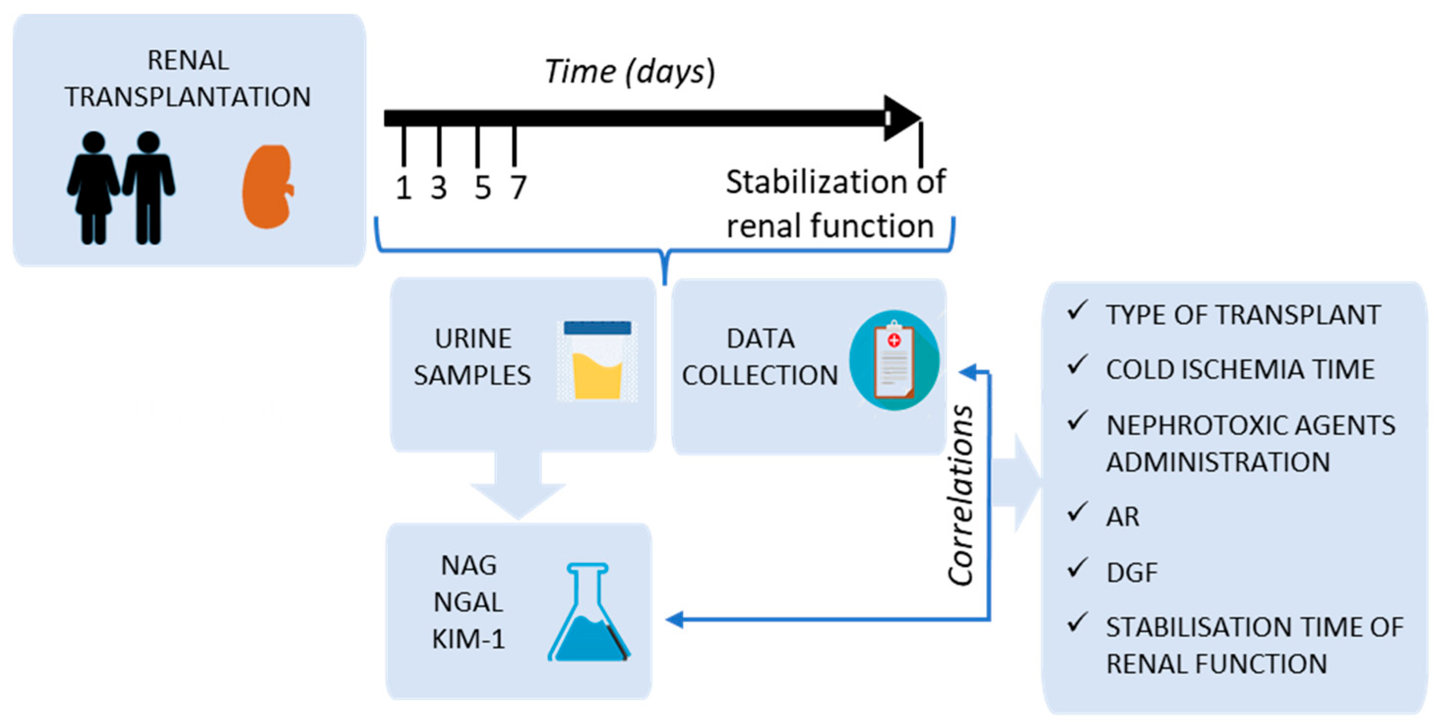 Diagnostics Free Full Text Evaluation Of NAG NGAL And KIM 1 As diagnostics-free-full-text-evaluation-of-nag-ngal-and-kim-1-as