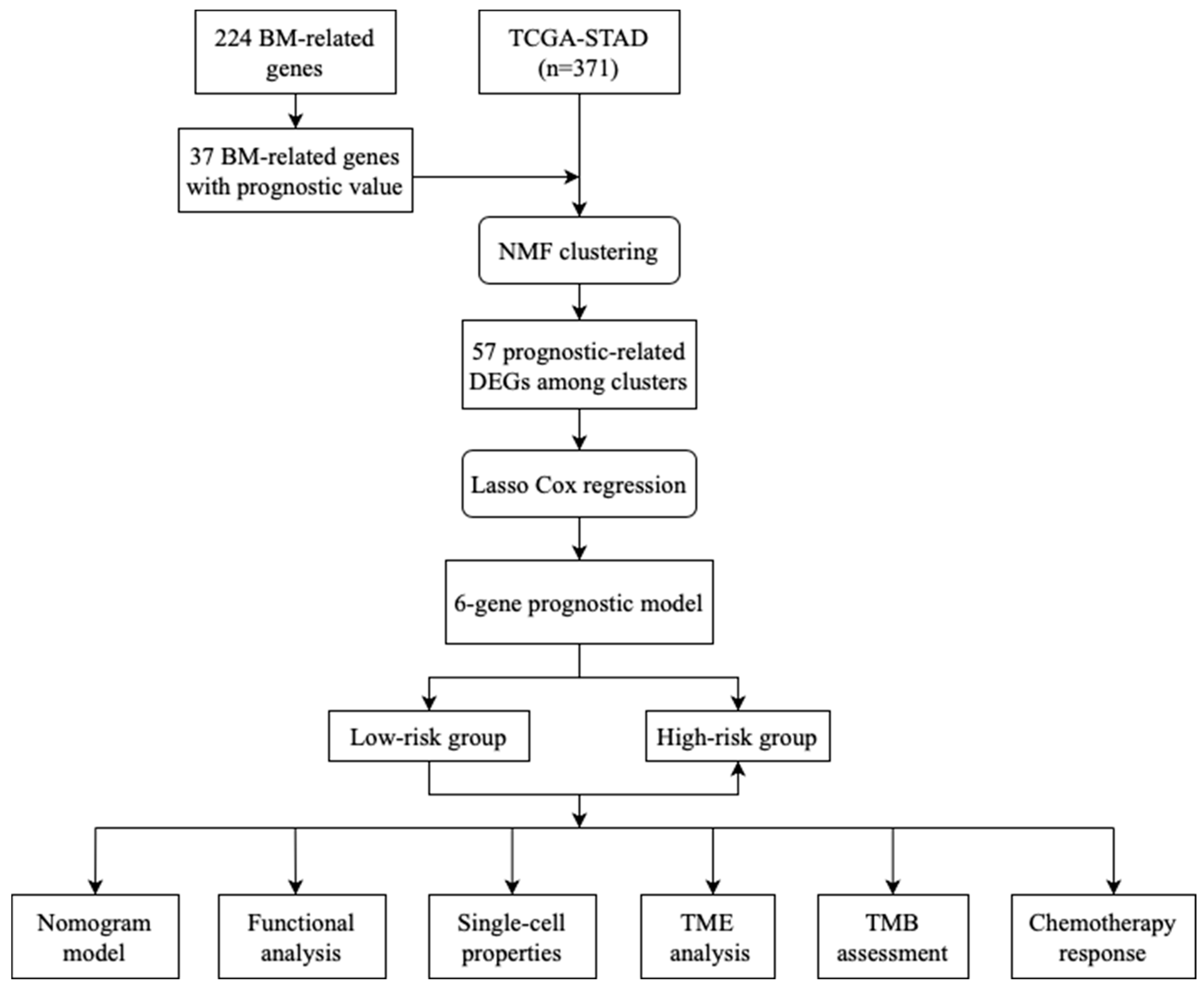 Diagnostics 13 01844 g001 Diagnostics 13 01844 g001