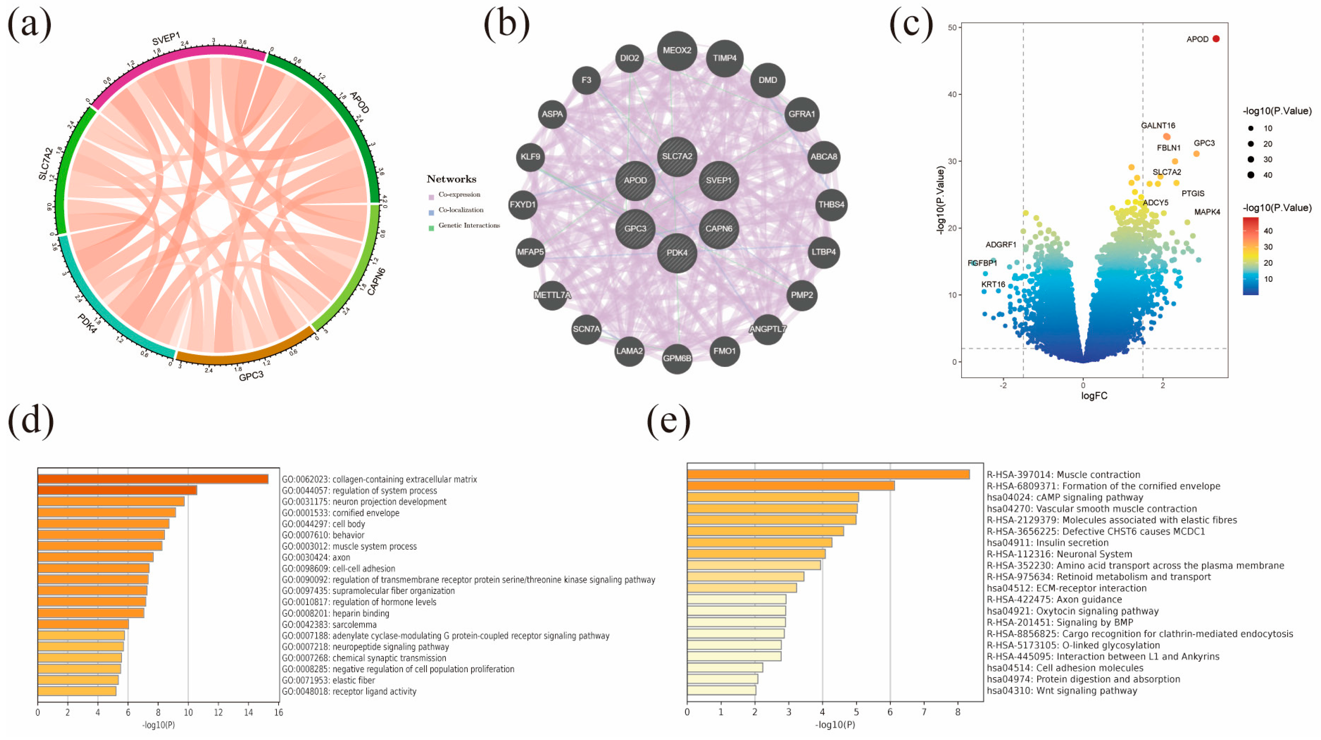 Diagnostics 13 01844 g004 Diagnostics 13 01844 g004