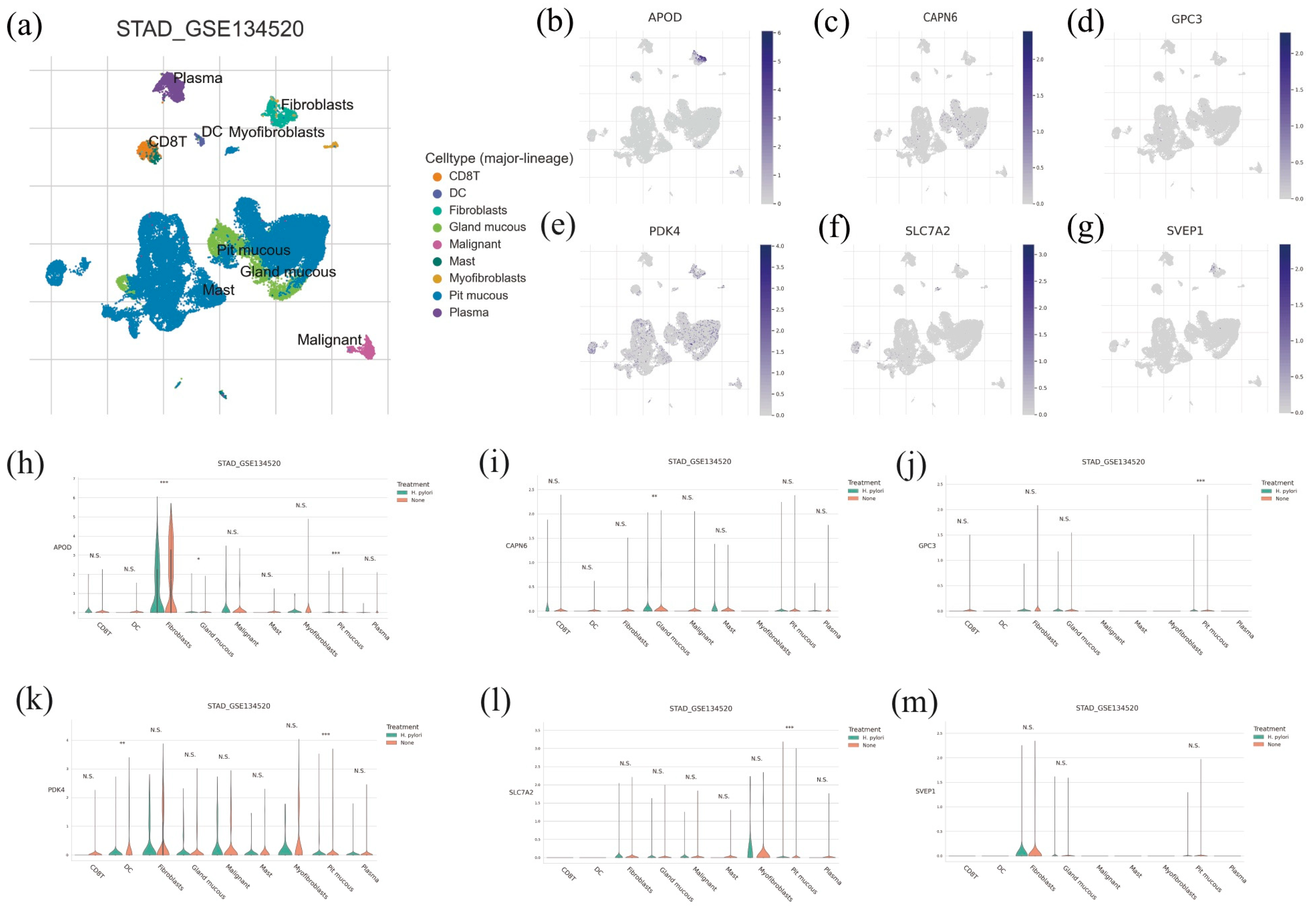 Diagnostics 13 01844 g006 Diagnostics 13 01844 g006