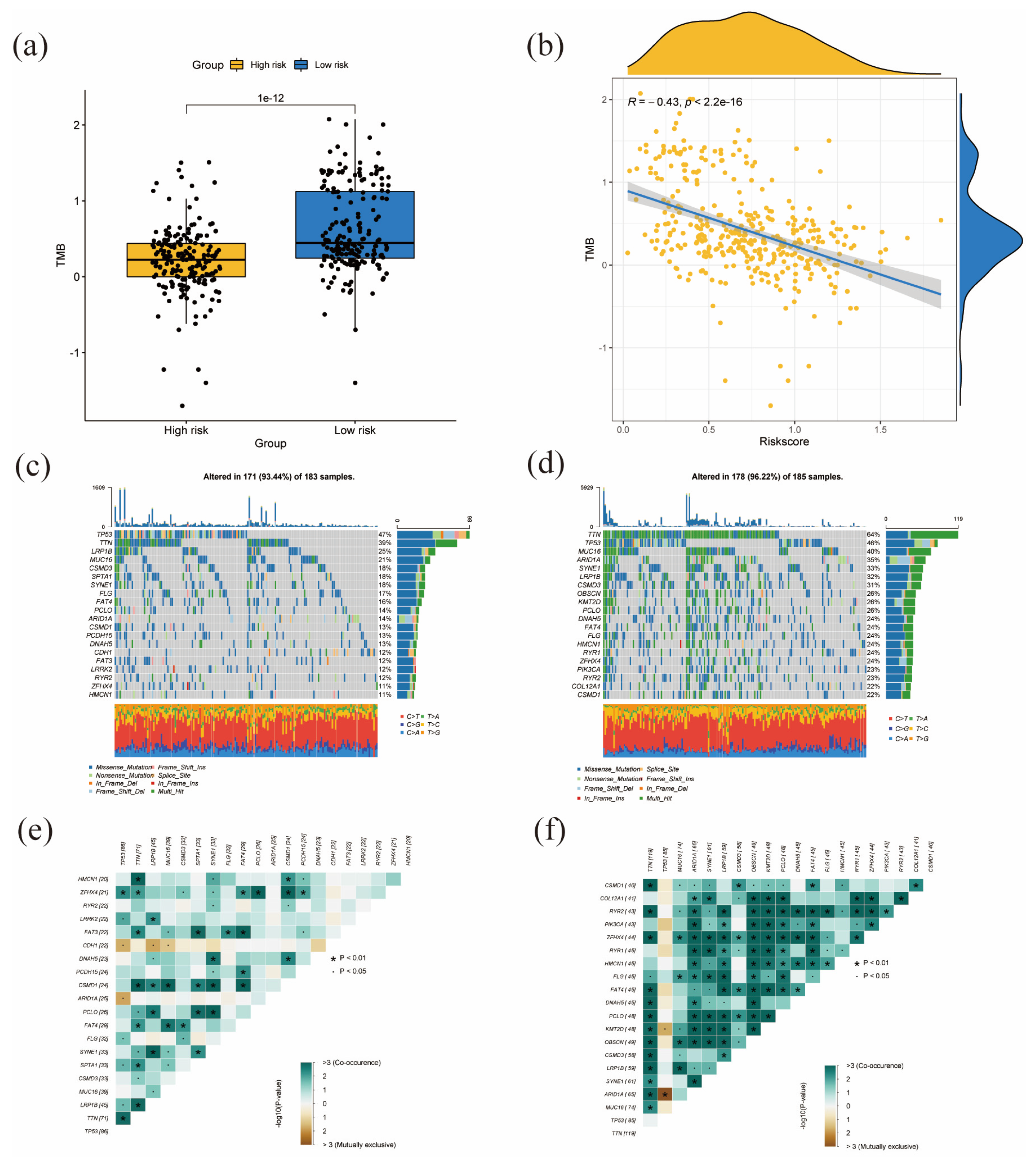 Diagnostics 13 01844 g008 Diagnostics 13 01844 g008