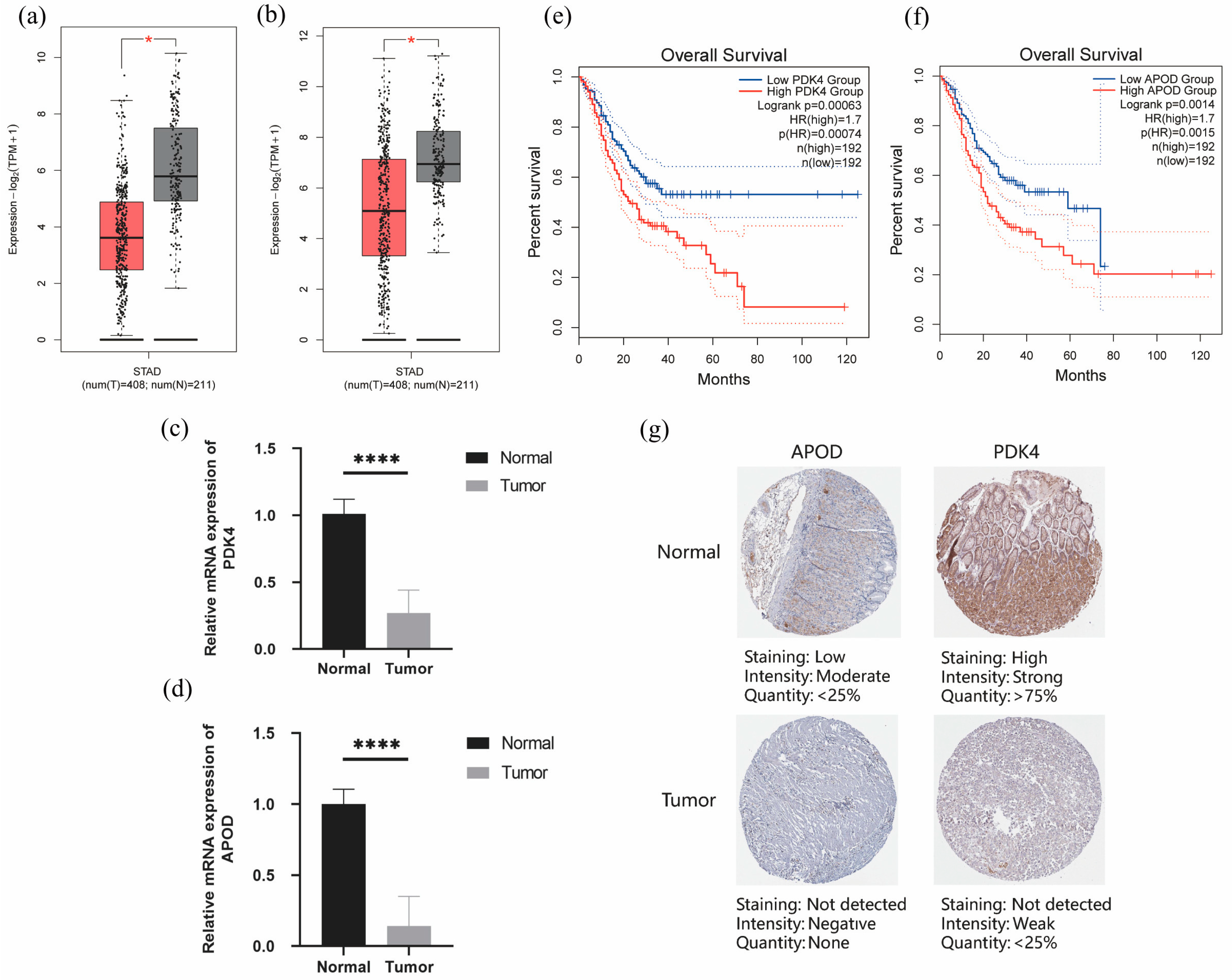 Diagnostics 13 01844 g010 Diagnostics 13 01844 g010