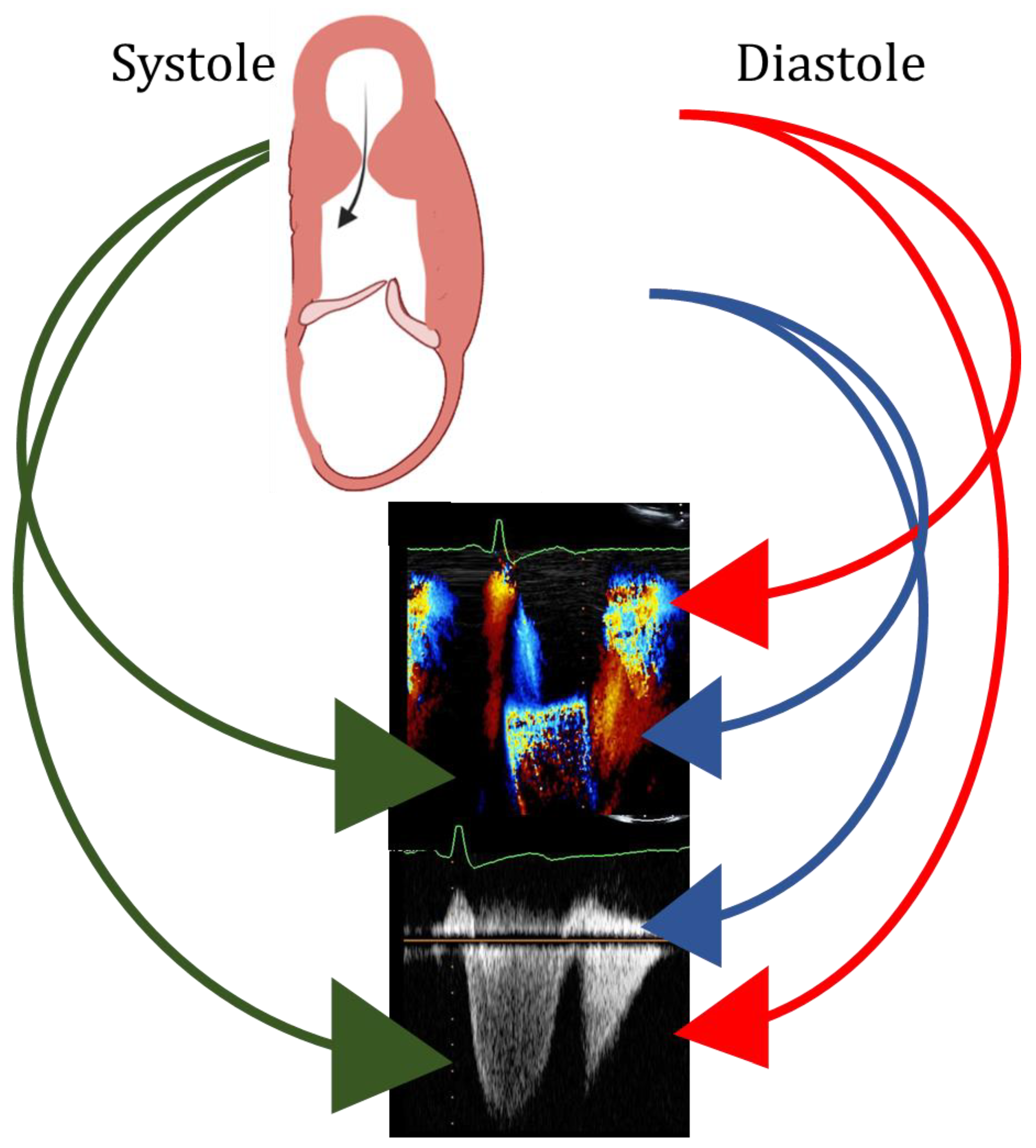 Diagnostics 13 01848 g008 Diagnostics 13 01848 g008