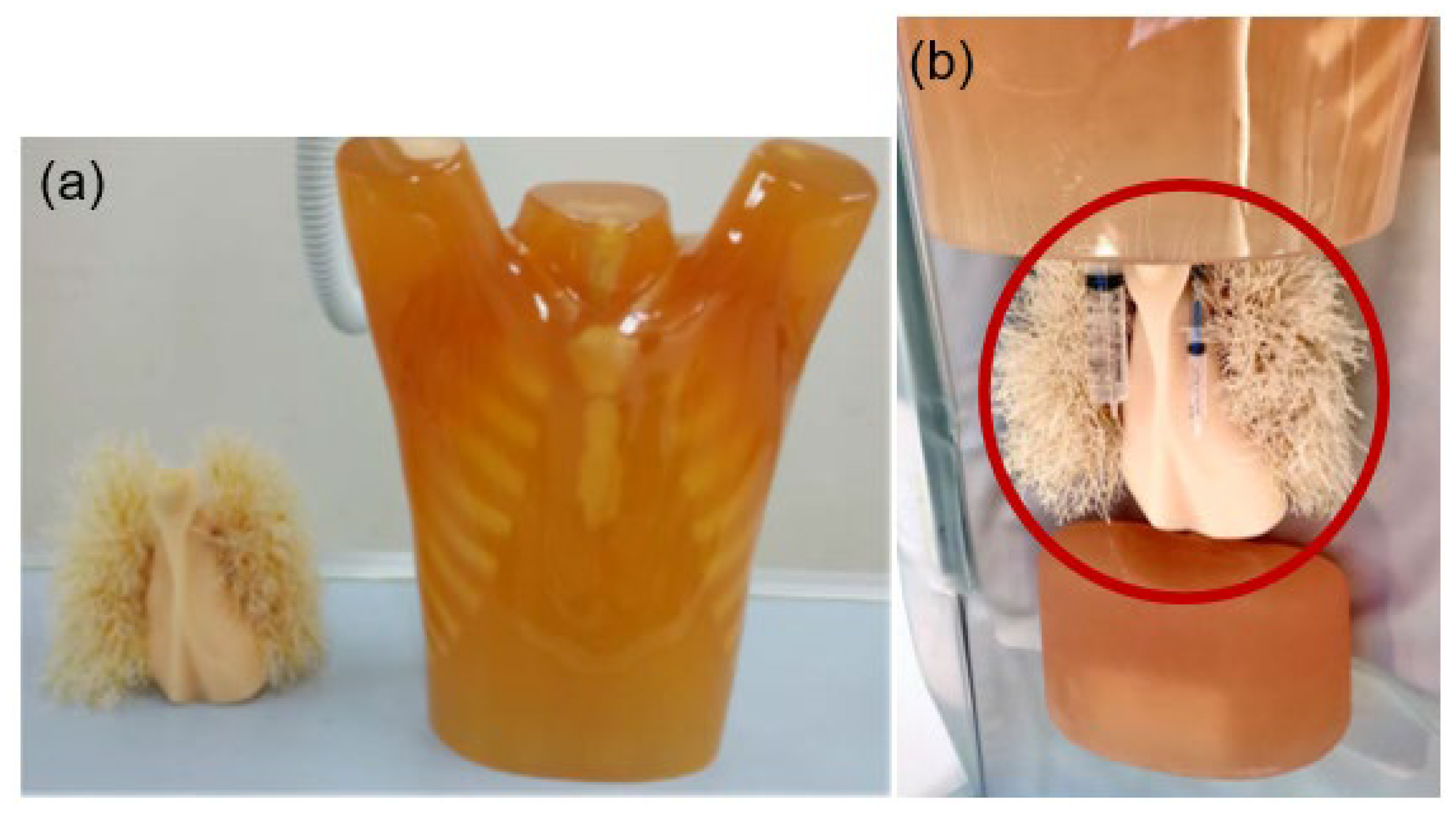 Diagnostics 13 01862 g002