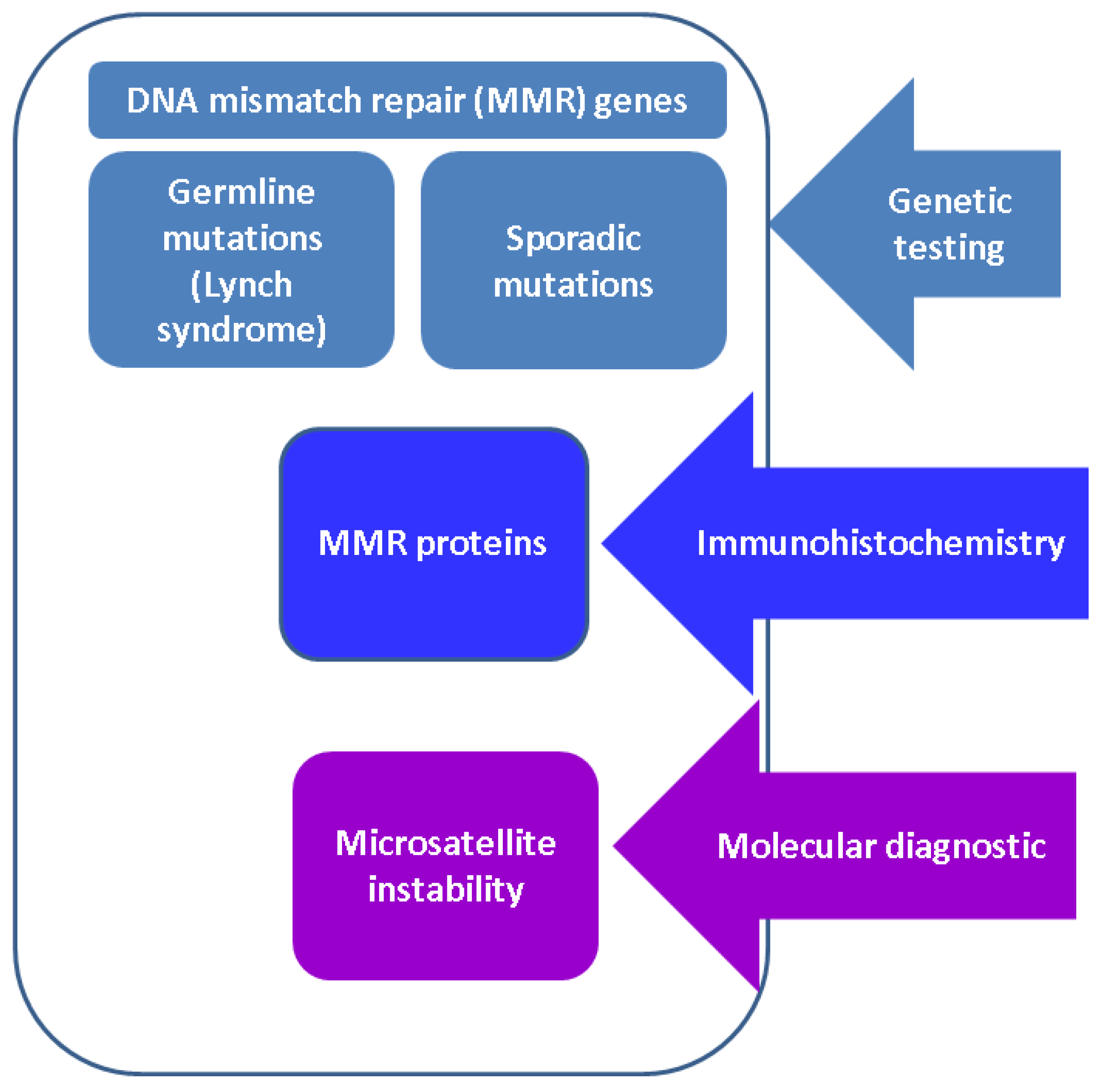 Diagnostics | Free Full-Text | Pathogenic Insights into DNA Mismatch ...