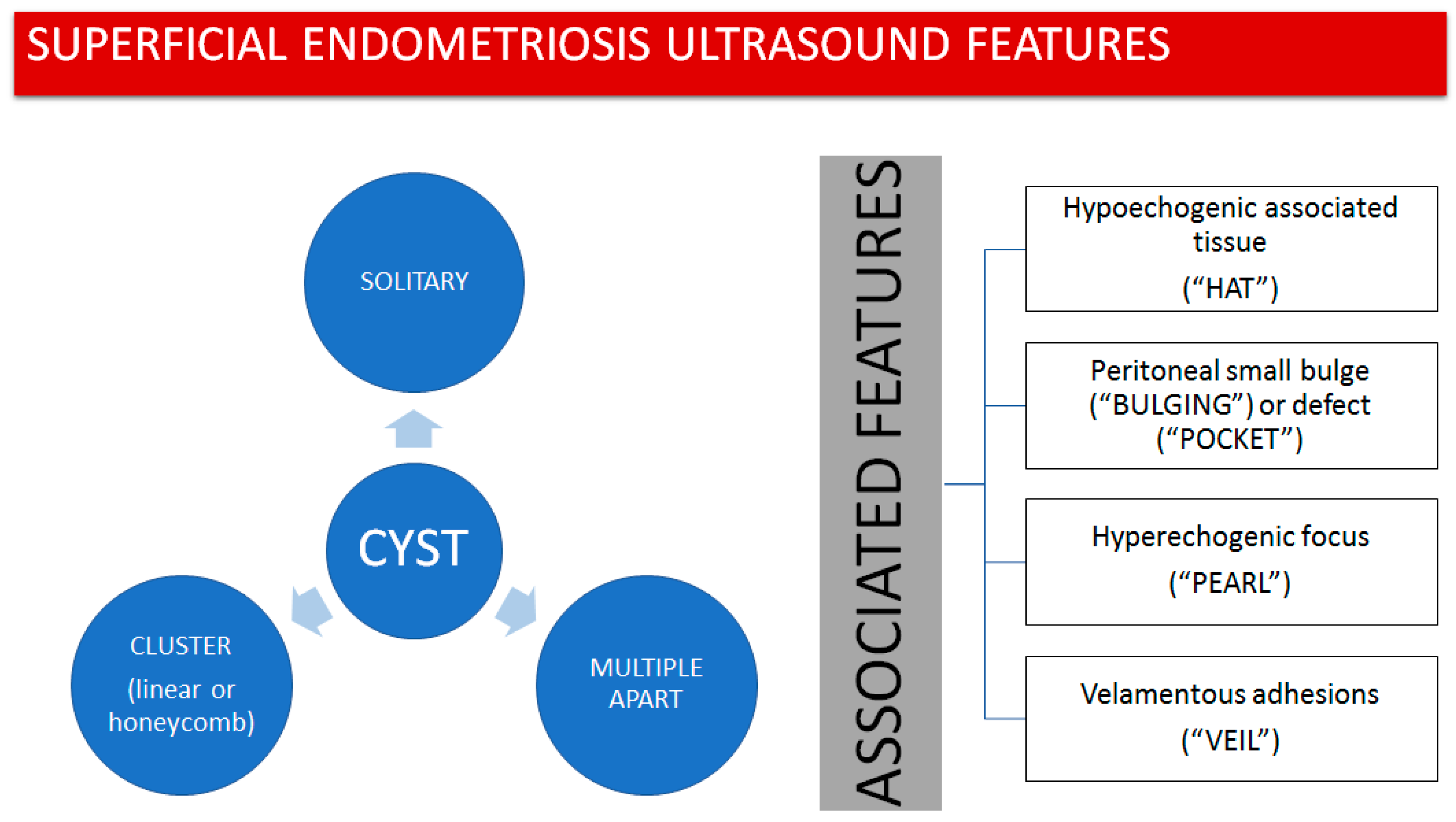 Diagnostics 13 01876 g001 Diagnostics 13 01876 g001