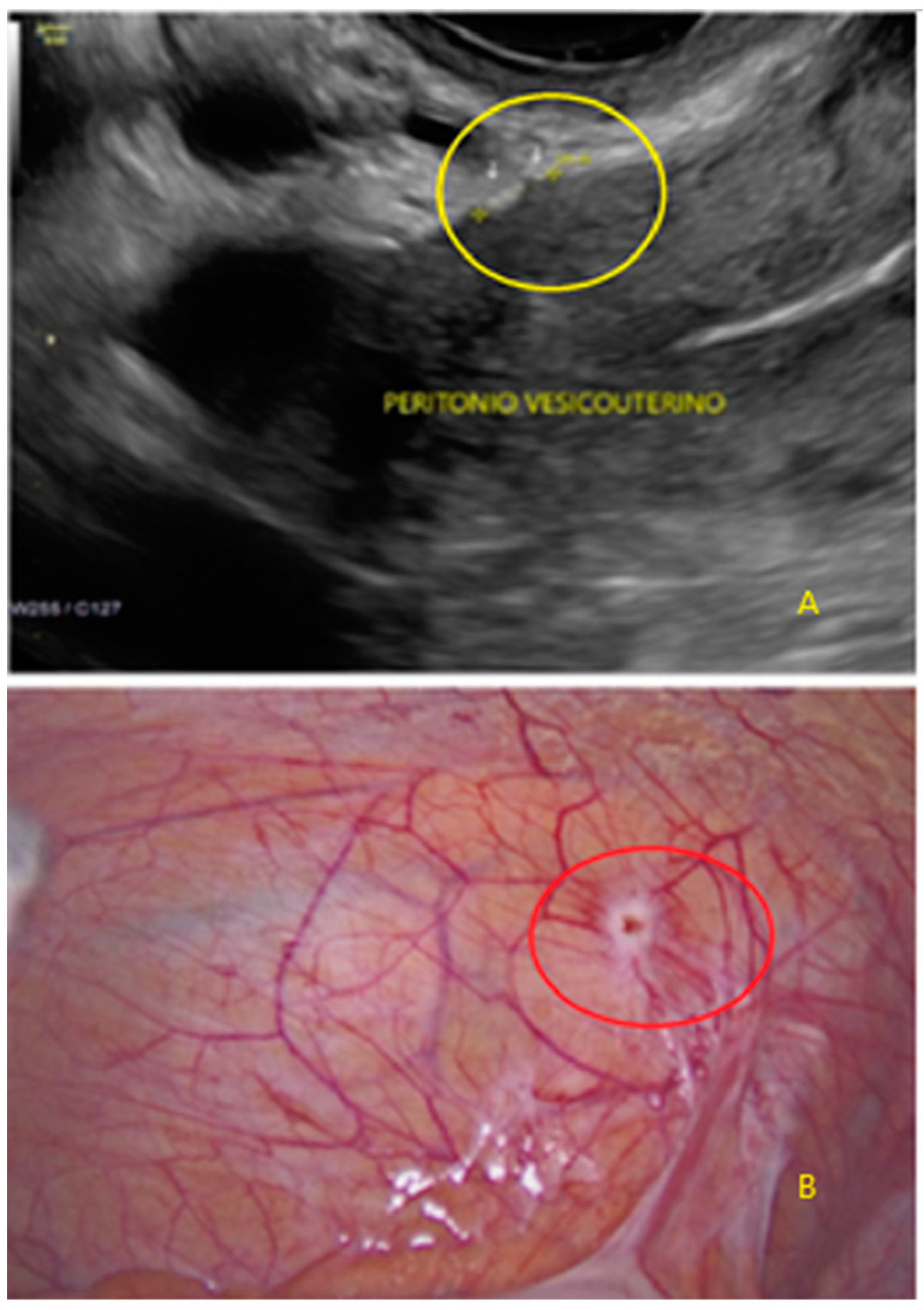 Diagnostics 13 01876 g018 Diagnostics 13 01876 g018