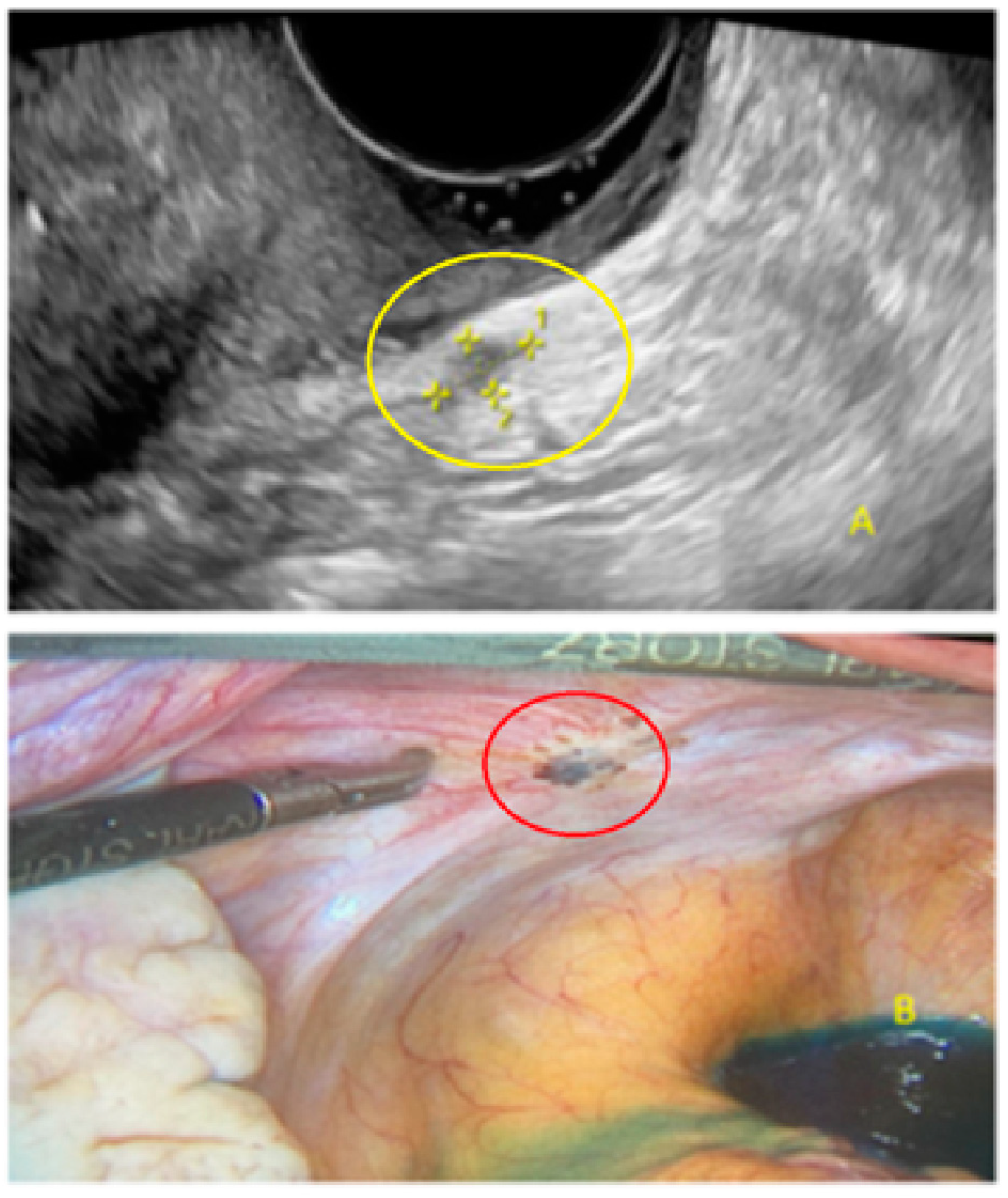 Diagnostics 13 01876 g029 Diagnostics 13 01876 g029