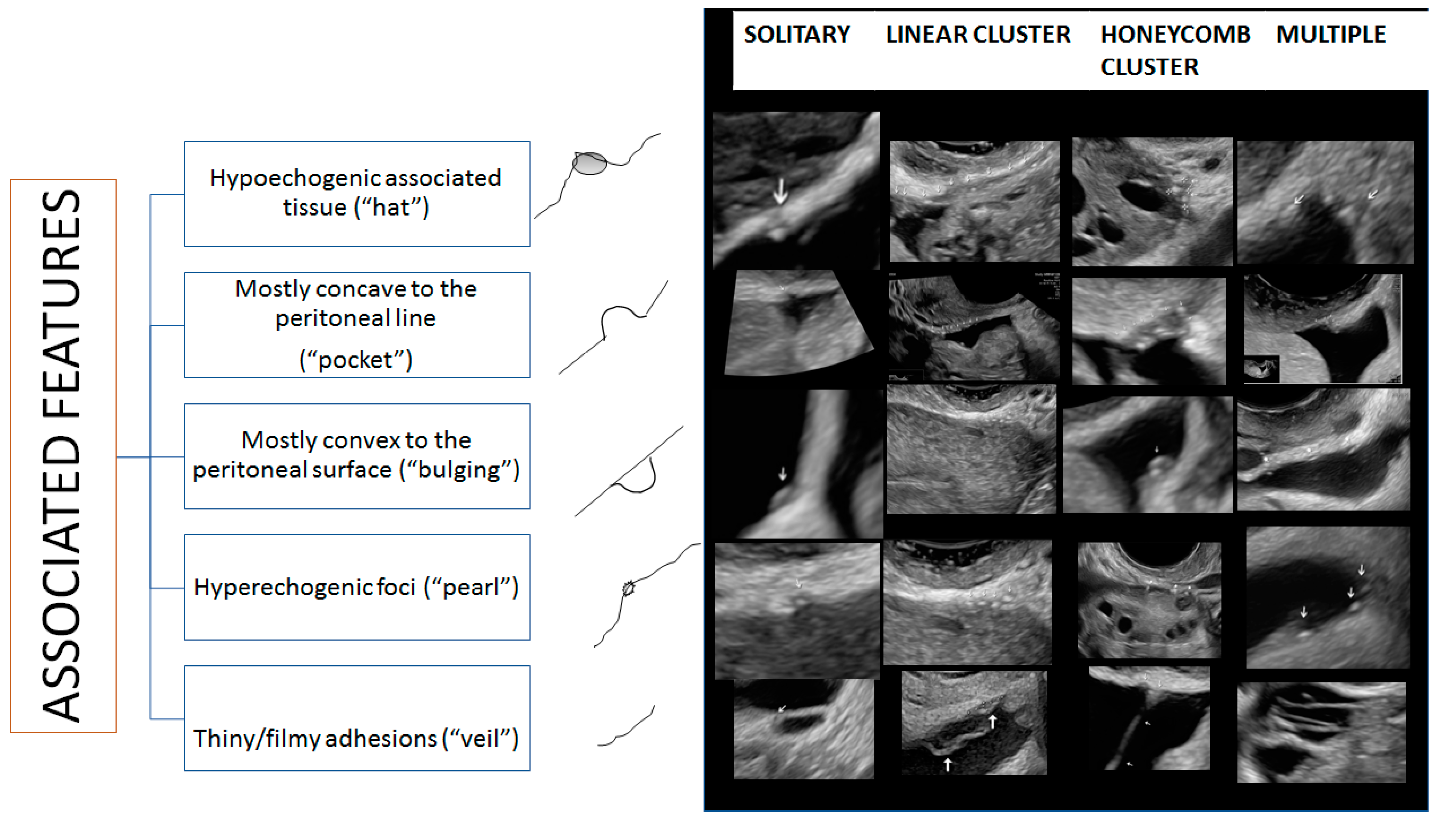 Diagnostics 13 01876 g031 Diagnostics 13 01876 g031