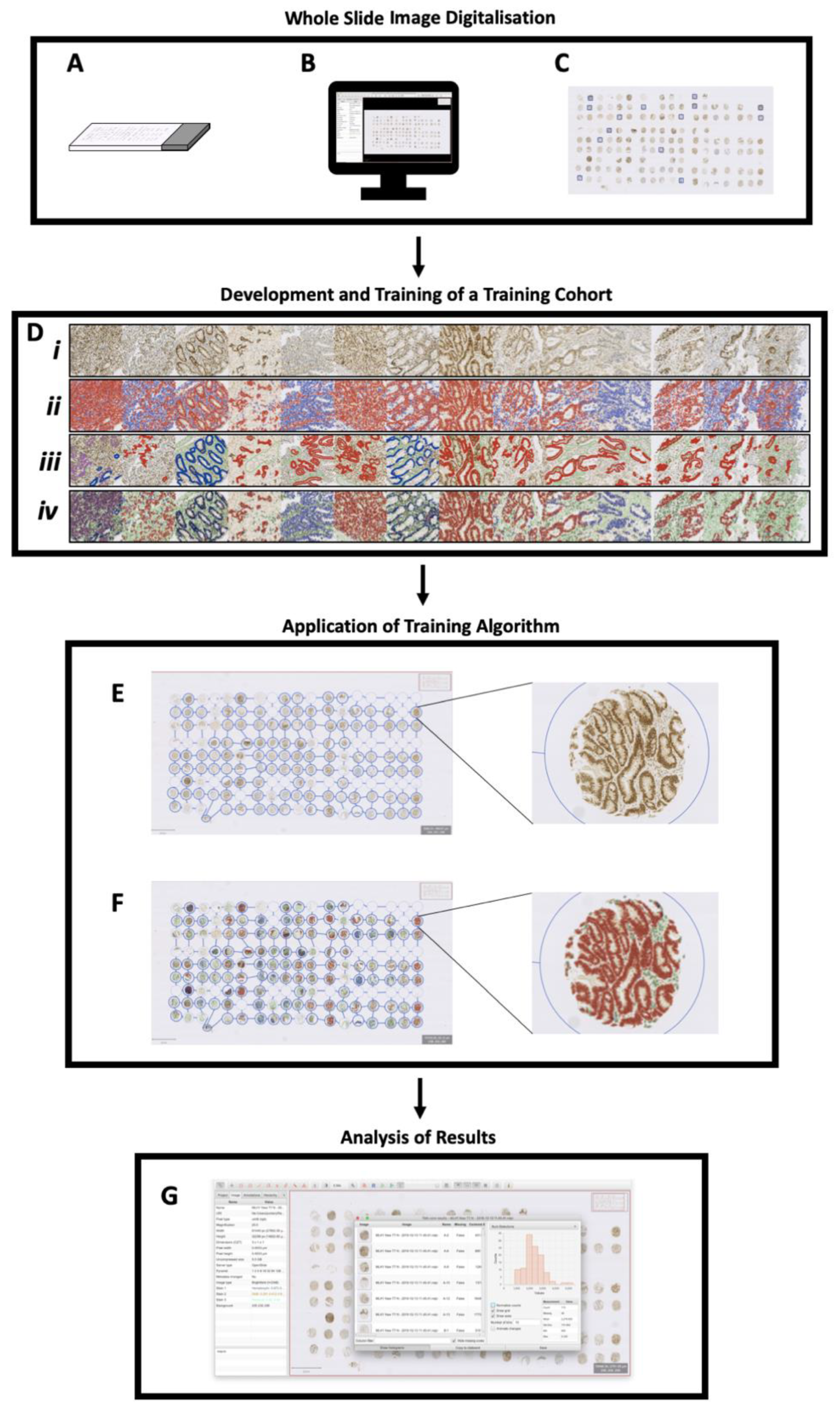 Diagnostics 13 01890 g001 Diagnostics 13 01890 g001