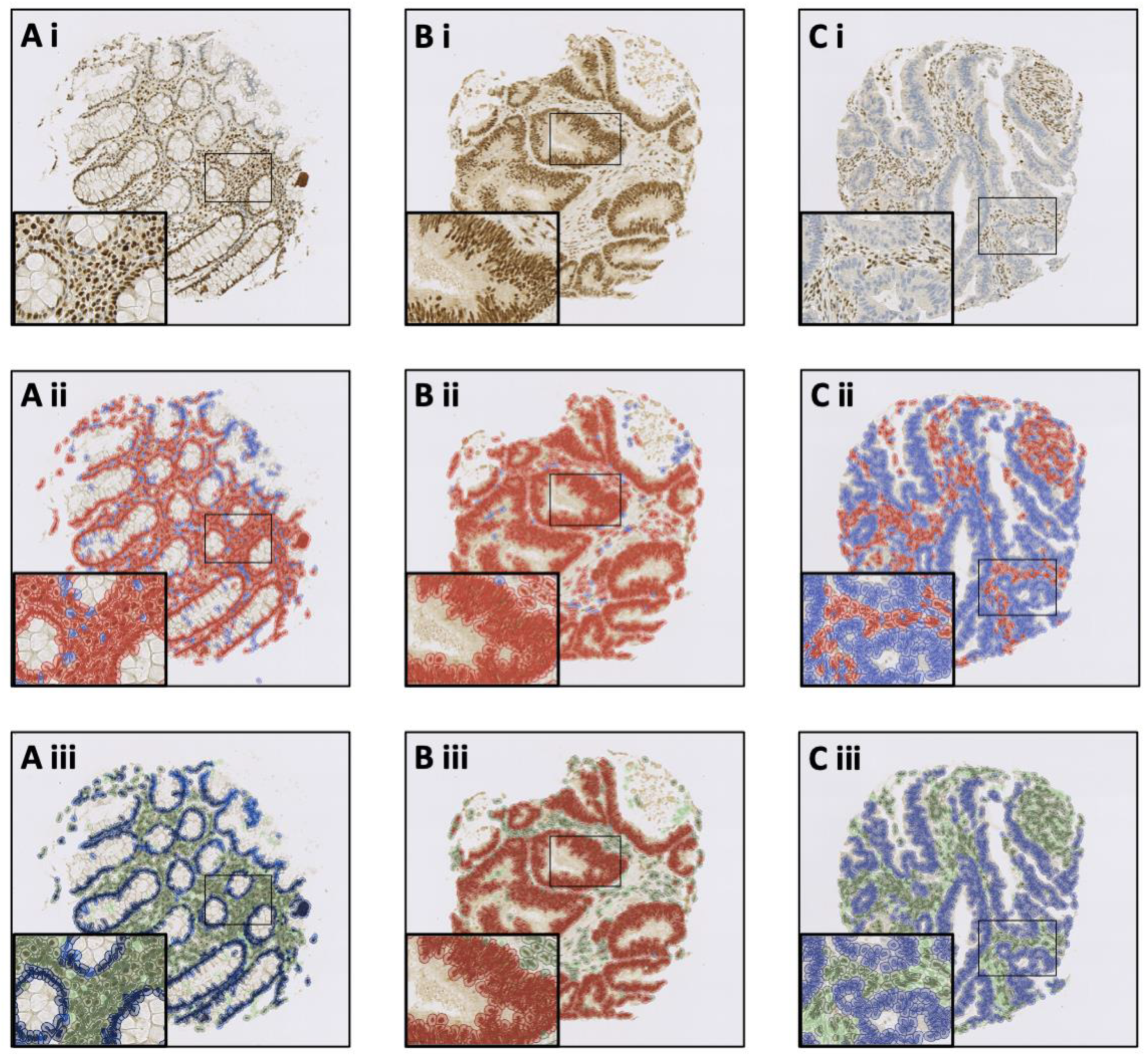 Diagnostics 13 01890 g002 Diagnostics 13 01890 g002