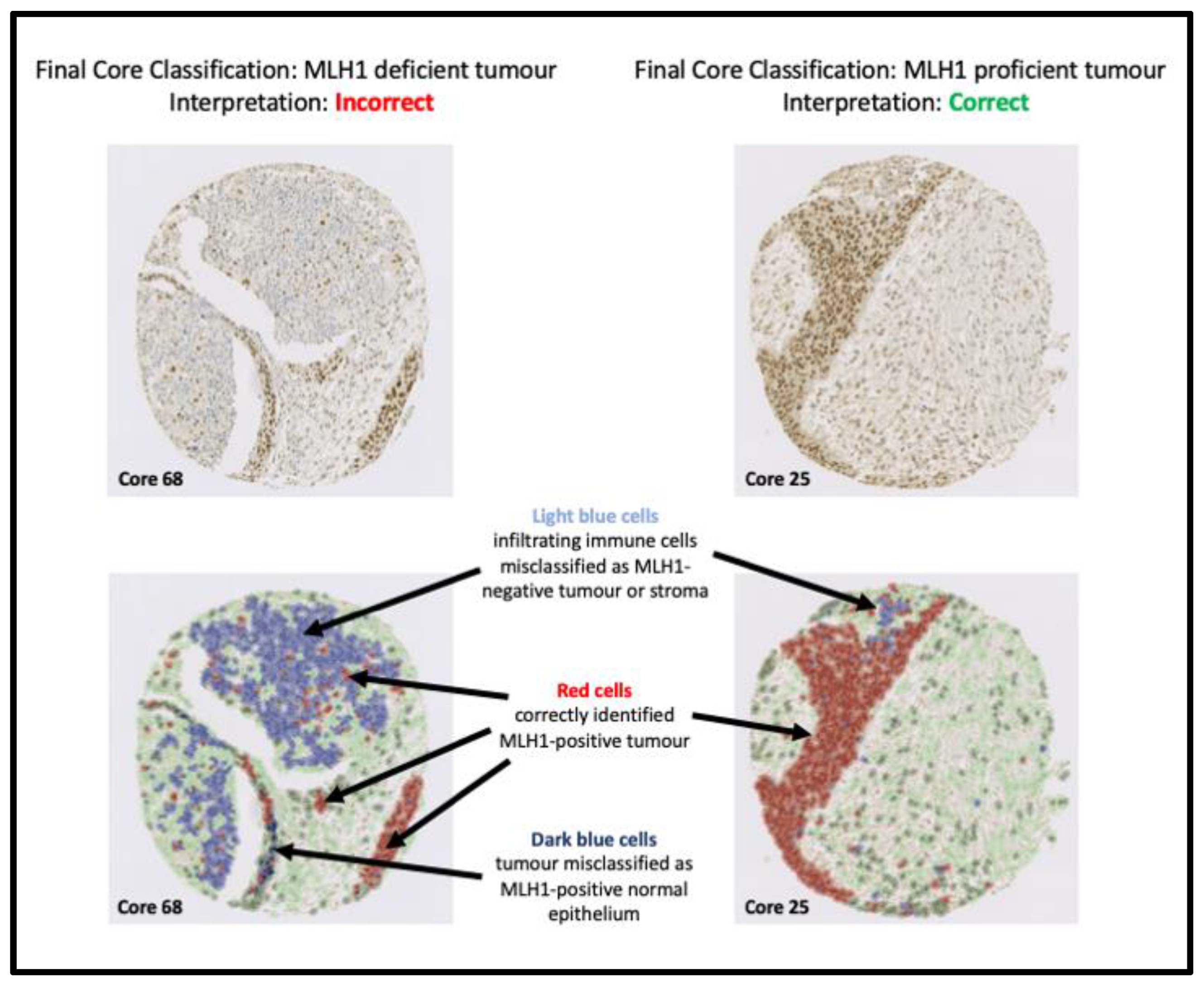 Diagnostics 13 01890 g004 Diagnostics 13 01890 g004