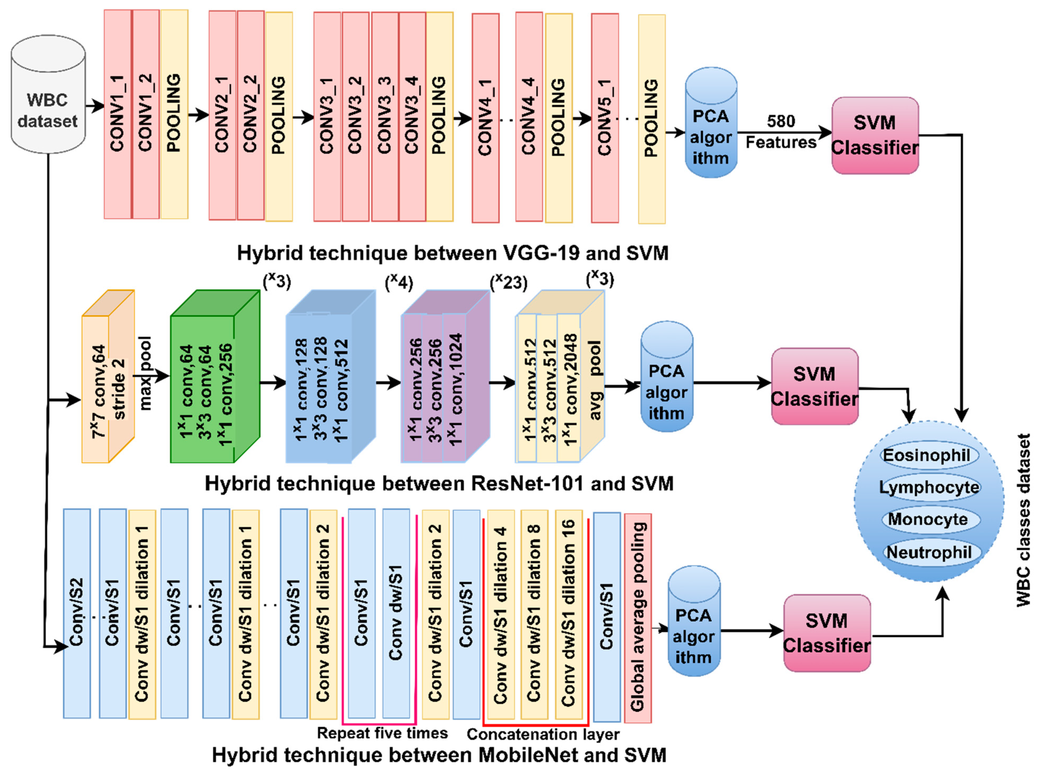 Diagnostics 13 01899 g002
