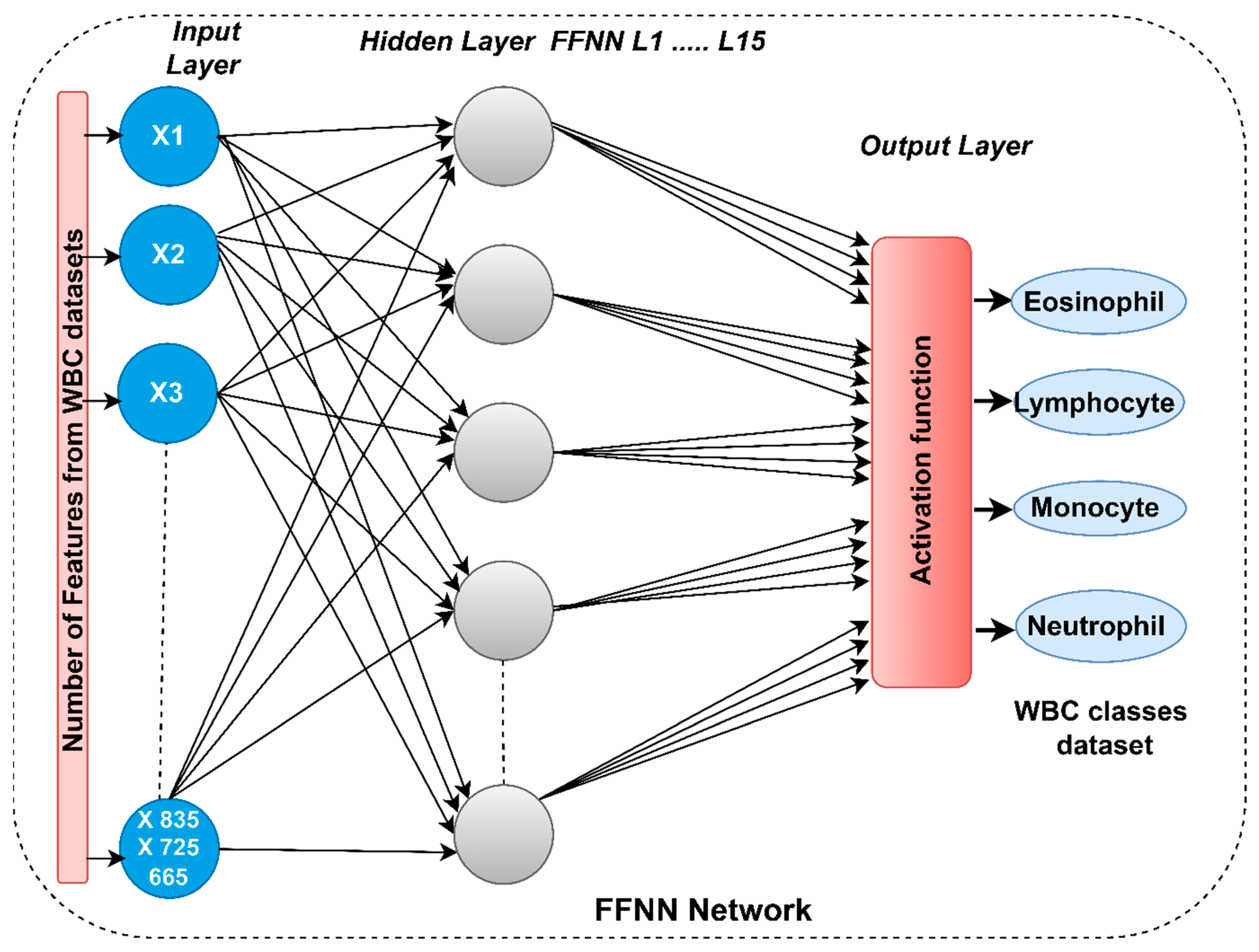 Diagnostics 13 01899 g004