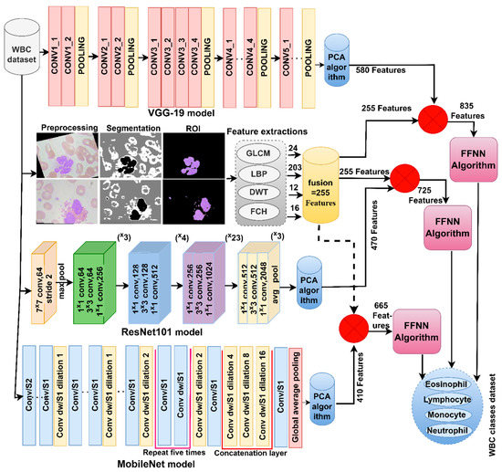 Blood Slide Image Analysis to Classify WBC Types for Prediction ...