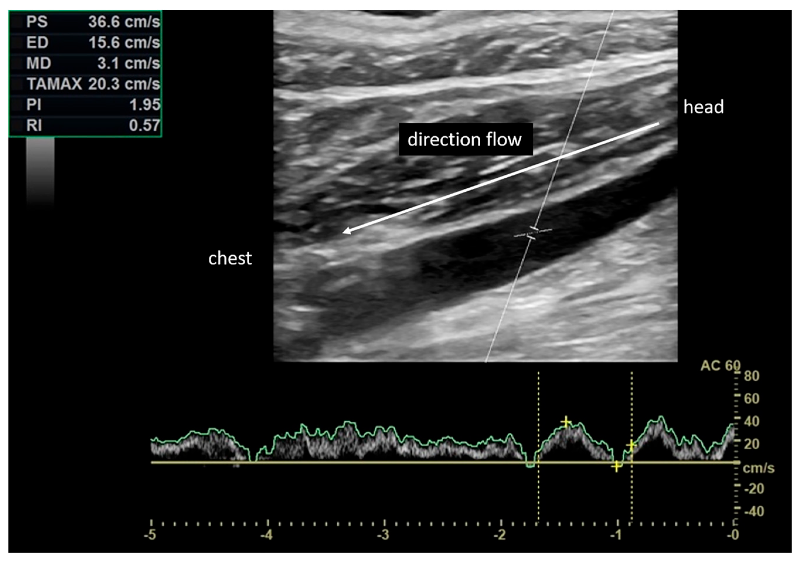 Diagnostics 13 01902 g001 Diagnostics 13 01902 g001