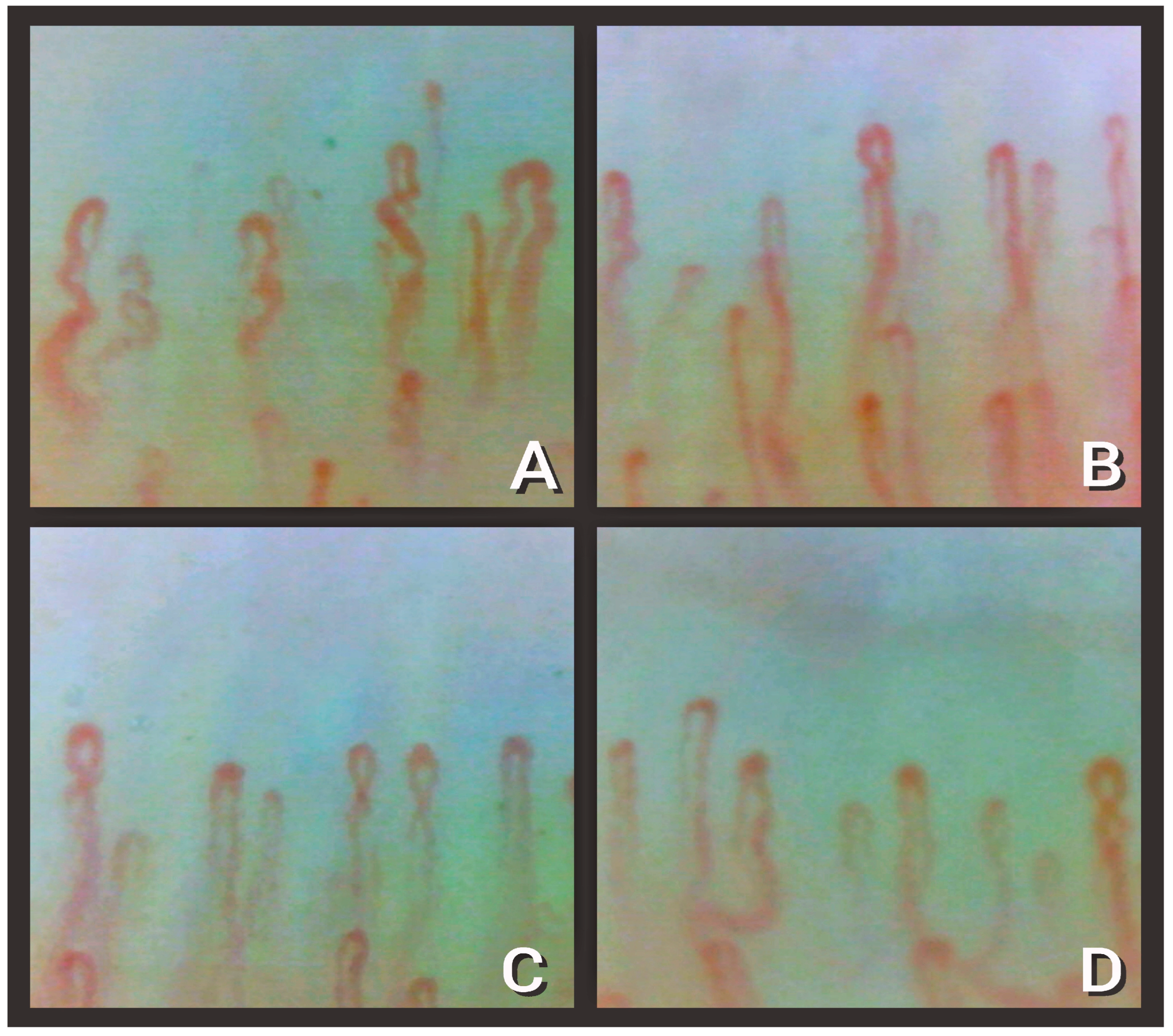 Diagnostics 13 01905 g002