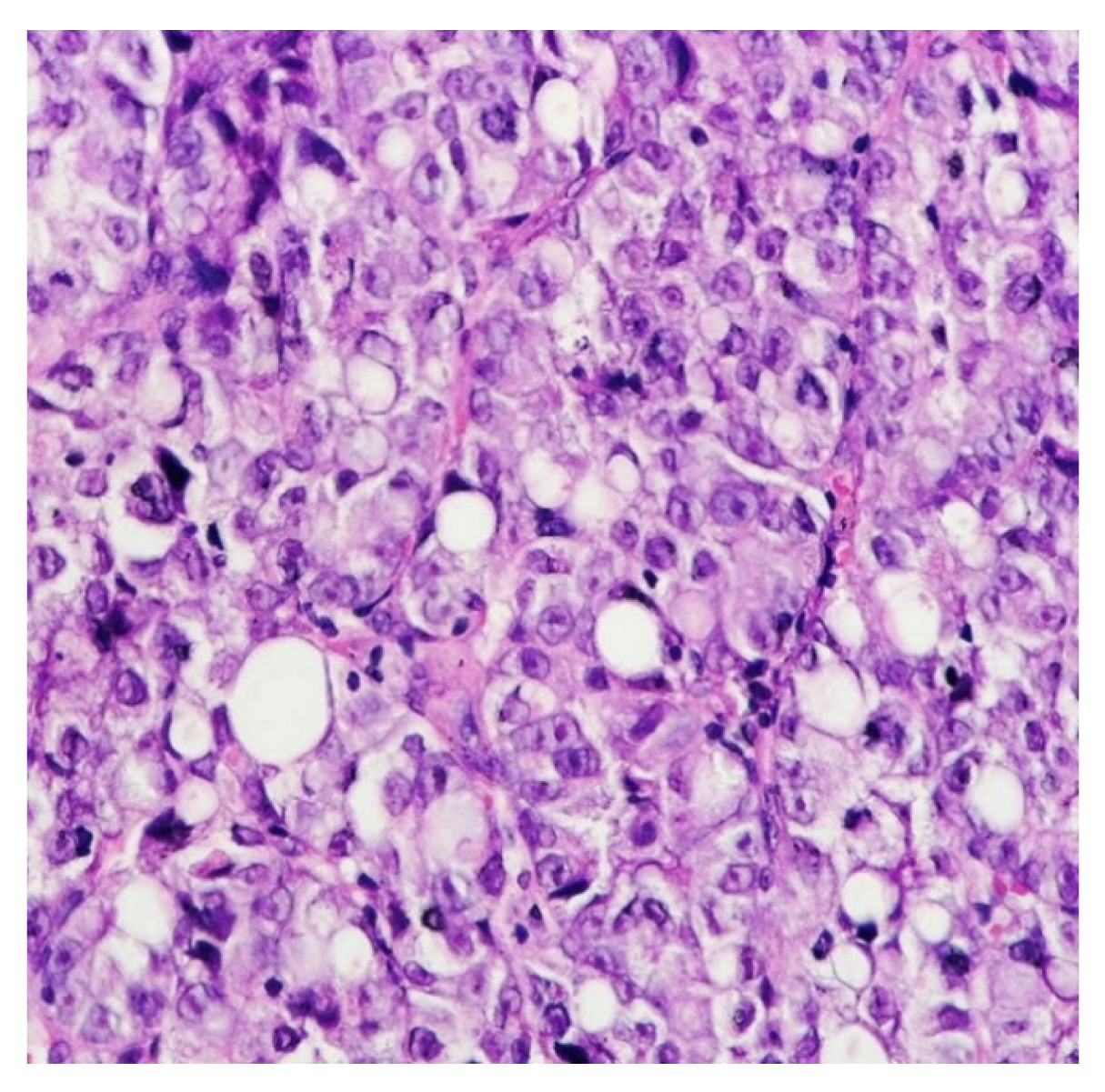 Diagnostics 13 01909 g002