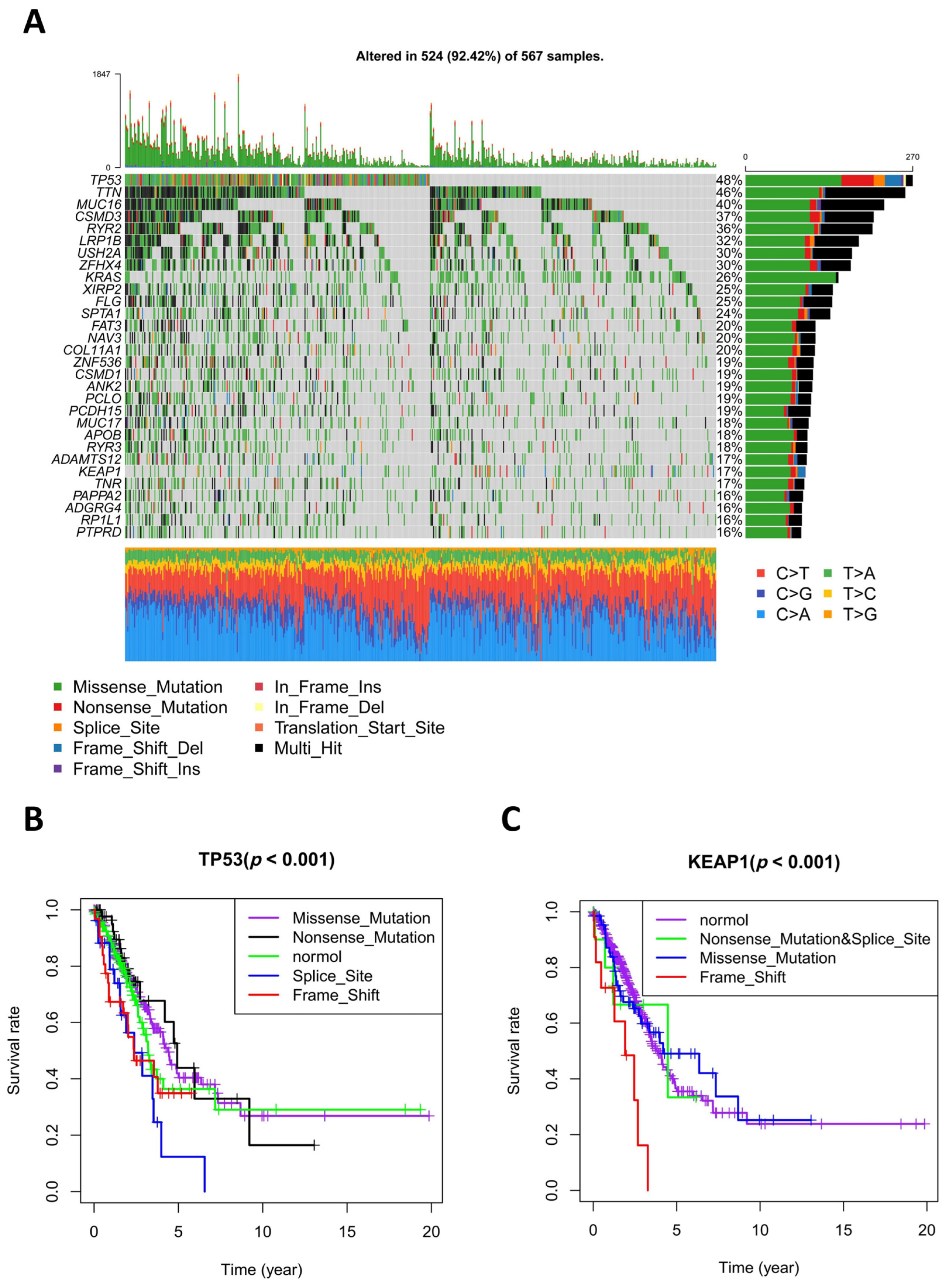 Diagnostics 13 01914 g003 Diagnostics 13 01914 g003