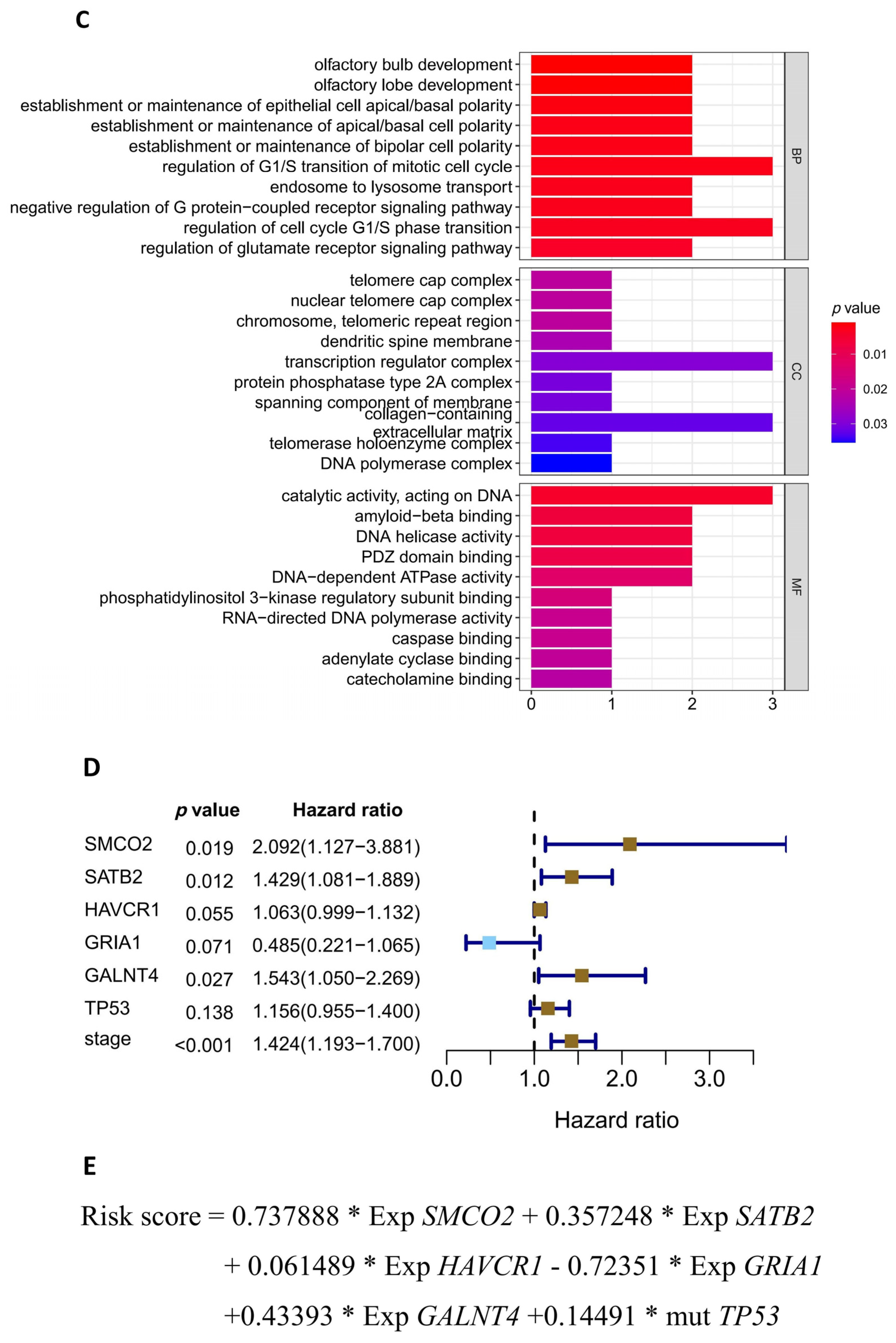 Diagnostics 13 01914 g004b Diagnostics 13 01914 g004b