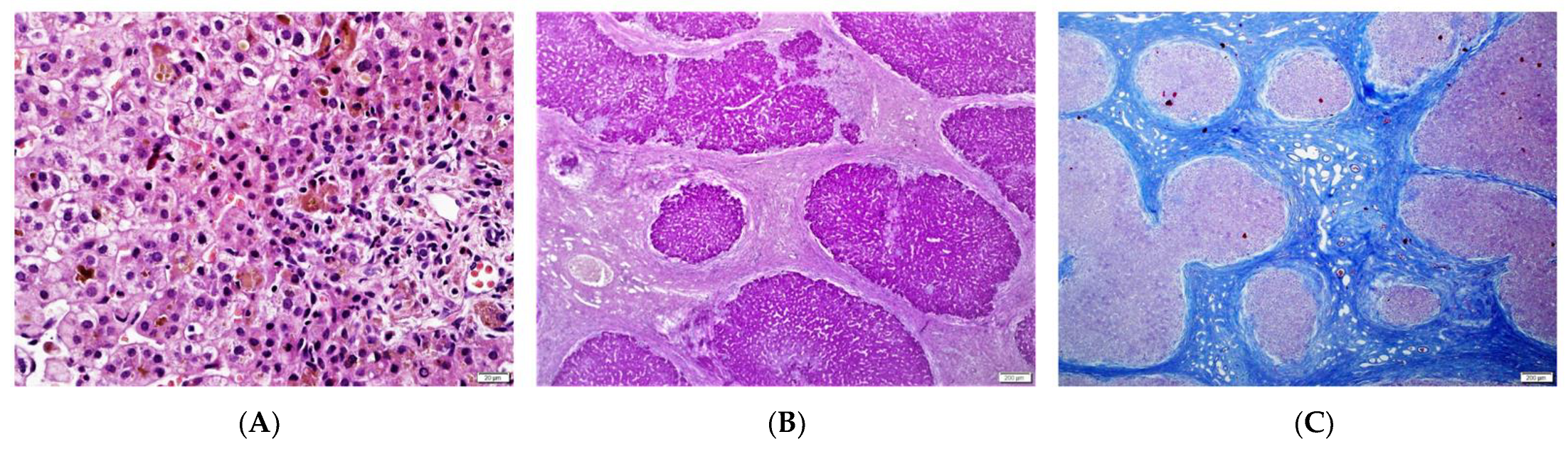 Diagnostics 13 01917 g001