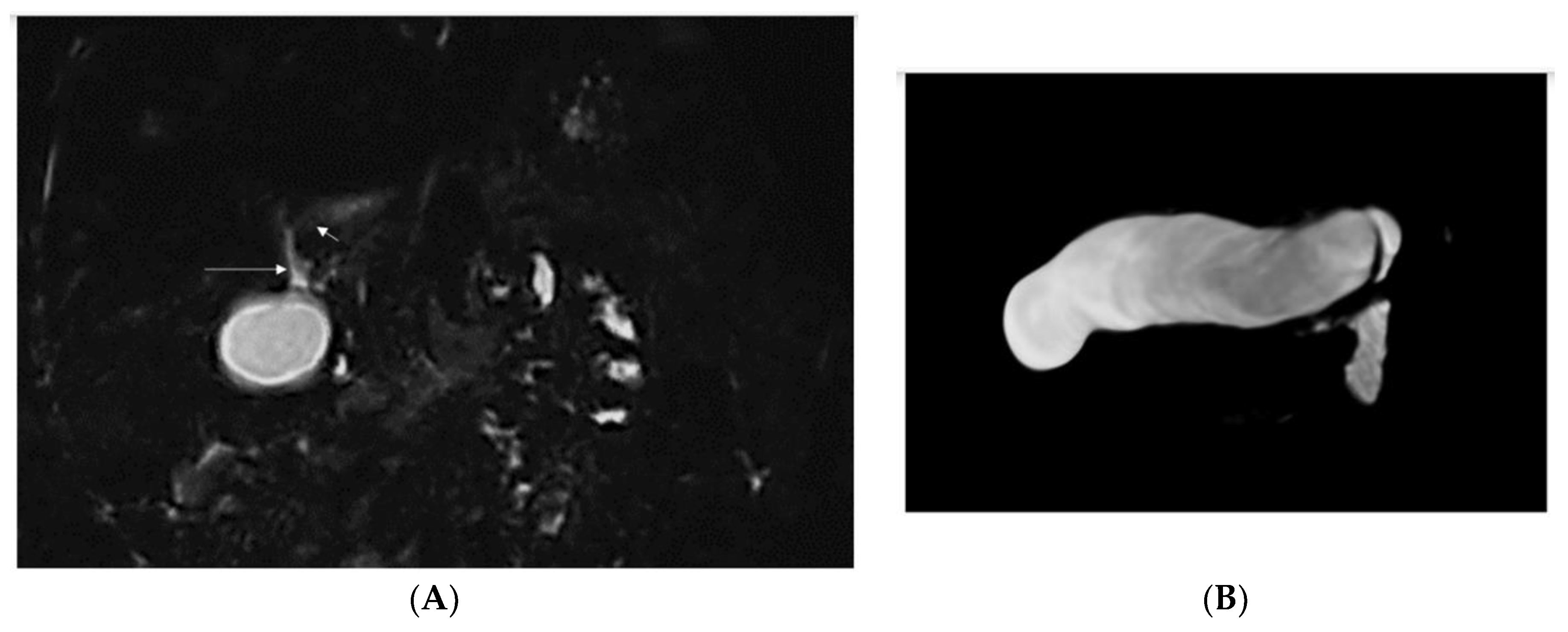 Diagnostics 13 01917 g002